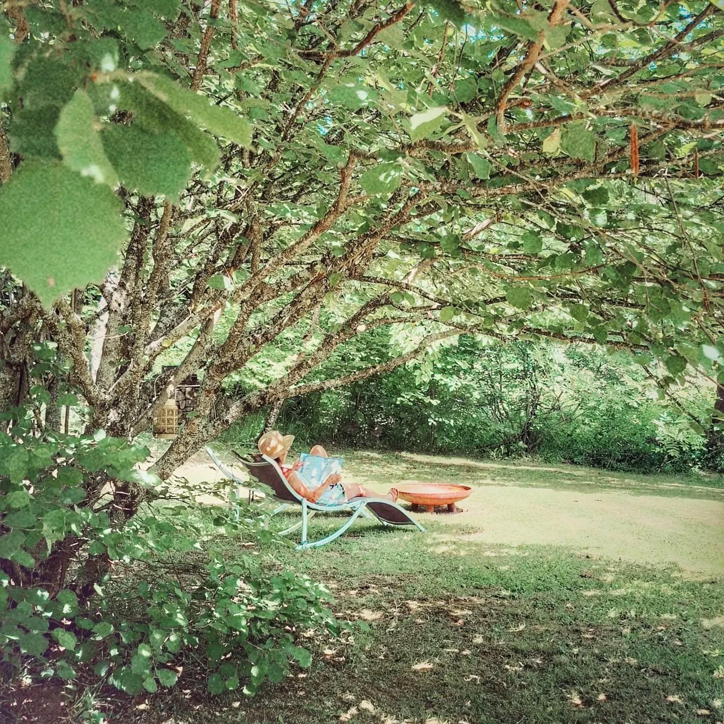 Farniente au jardin
Livre et chaise longue : un combo gagnant au lodge pour ce 1er jour d'été !
#moodujour #lodge #seressourcerdanslanature #naturelover❤️
The place to be 😉
Bon dimanche
#igersauvergne #weekendvibes #gitenature #Sancy #montdore