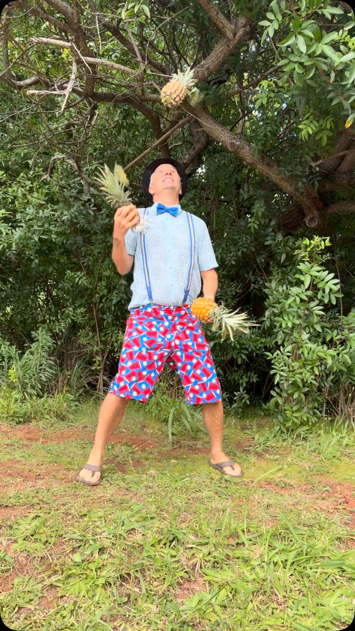 Juggling Maui Gold Pineapples before the Makawao Parade! Chee-Hoo!!! #magicbrent #mauimagician #mauigoldpineapple #mauigoldpineapples #makawaoparade