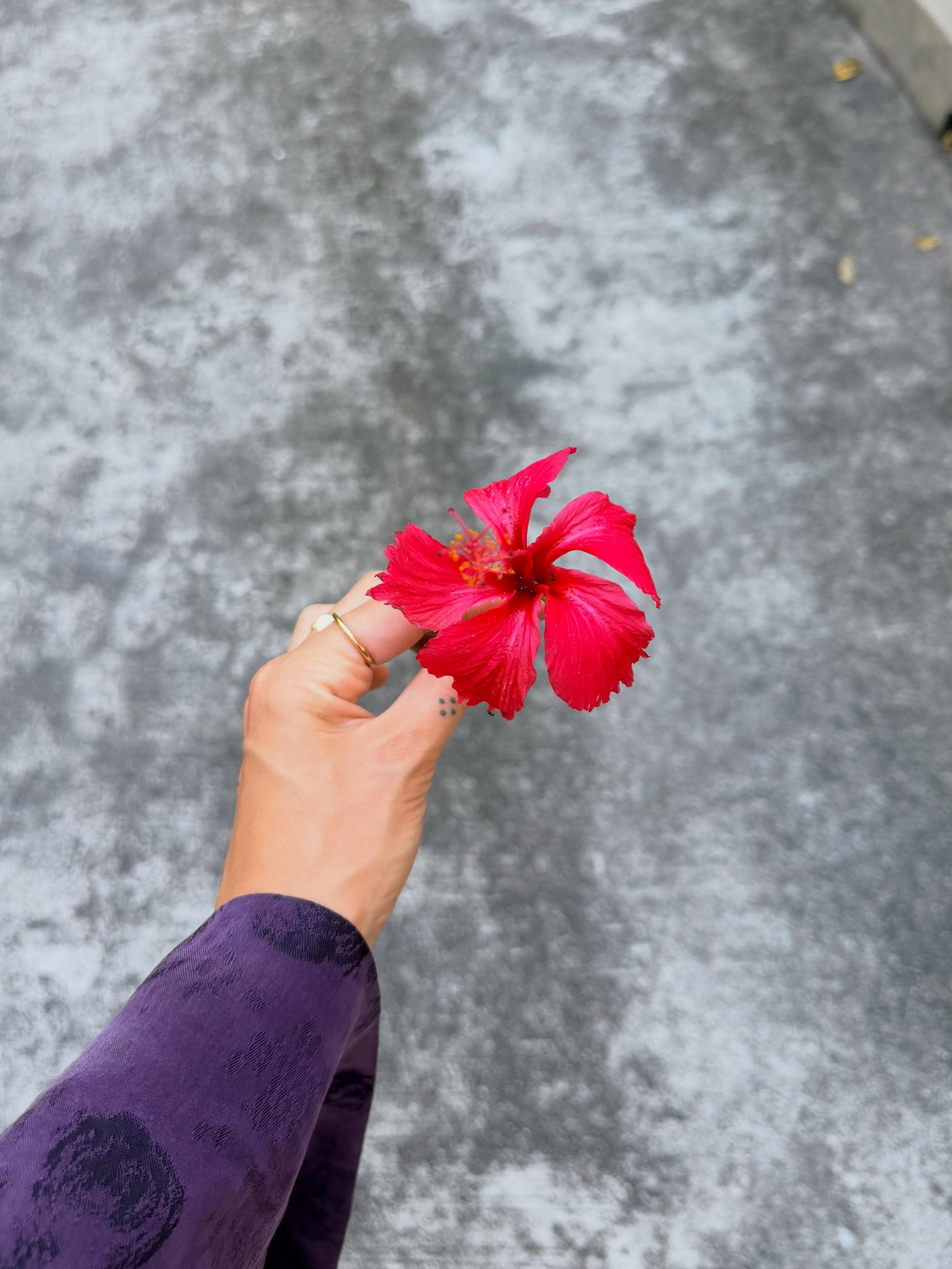 To jak… lecimy dalej? 🌺🛫