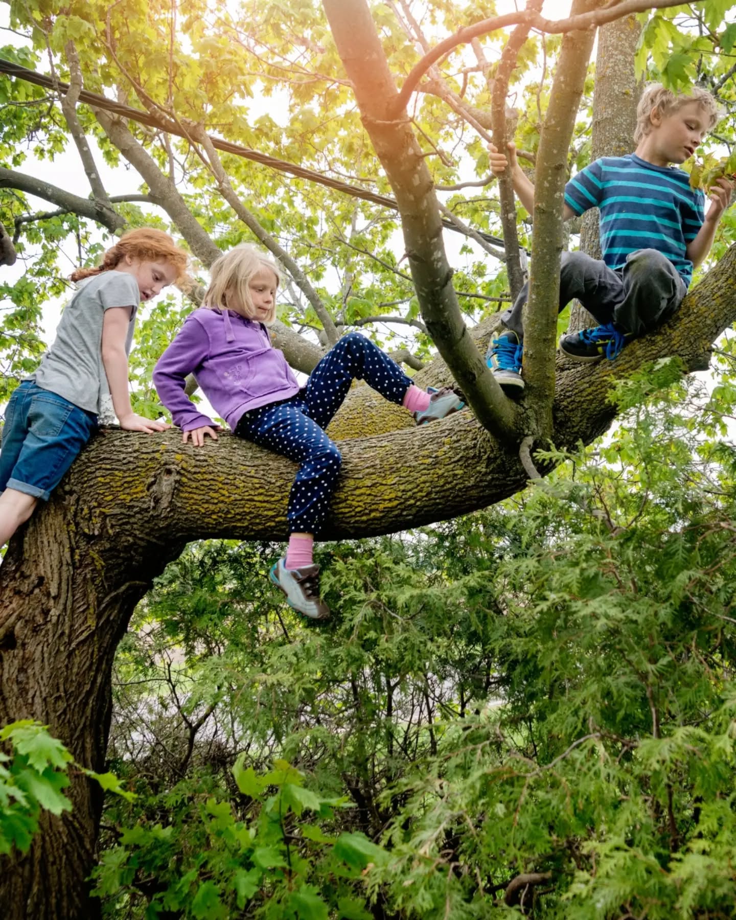 Det man tränar på blir man bra på 🤸🏼
För en tid sedan fick jag frågan om att skriva en kommentar för Journal of Physiotherapy om en ny systematisk översikt kring motorisk träning för barn med Developmental Coordination Disorder (DCD).
Resultaten är egentligen ganska tydliga.
Barn med DCD blir bättre av att träna på det de vill bli bättre på. Uppgiftsspecifik träning, alltså att öva på konkreta aktiviteter och färdigheter som är viktiga för barnet, hade bäst effekt. När man dessutom lägger till träning av underliggande funktioner verkar effekten kunna bli ännu större.
För mig är det här kärnan i motoriskt lärande. Barn behöver få öva på det som är viktigt för dem. Då skapas motivation, och vi vet att mål och motivation är avgörande för lärande och utveckling.
Samtidigt visar resultaten att det är svårare att påverka delaktighet och psykosociala faktorer. Men kanske är det inte så konstigt? Delaktighet är komplext, och studierna som inkluderades hade kanske för korta uppföljningstider för att fånga effekterna av insatser som syftar till att främja delaktighet och psykosocialt välbefinnande.
Det handlar alltså inte bara om motoriska färdigheter, utan också om möjligheter, omgivning, stöd från familjen och vad som är viktigt för barnet själv.
Som fysioterapeuter behöver vi därför fråga oss: Vad är viktigt för just det här barnet och den här familjen?
För i slutändan spelar det ingen roll hur mycket vi förbättrar en funktion om det inte gör skillnad i barnets vardag.
För motoriken är så mycket mer än rörelser, den är barnets redskap för att utforska världen, leka, lära och var delaktiga.
Vad tänker du?
Här kan du kan läsa:
🧾 Artikeln av Gao et al (2025): https://link.springer.com/article/10.1186/s40798-025-00833-w
💭 Min kommentar: https://doi.org/10.1016/j.jphys.2026.05.007
