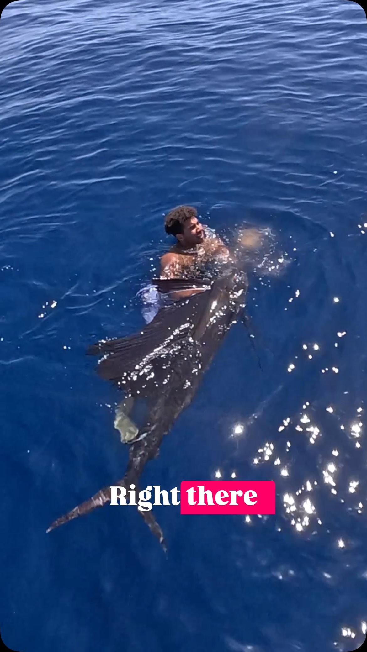 Swimming with sailfish and Fishing w/ INTENSITY!!!