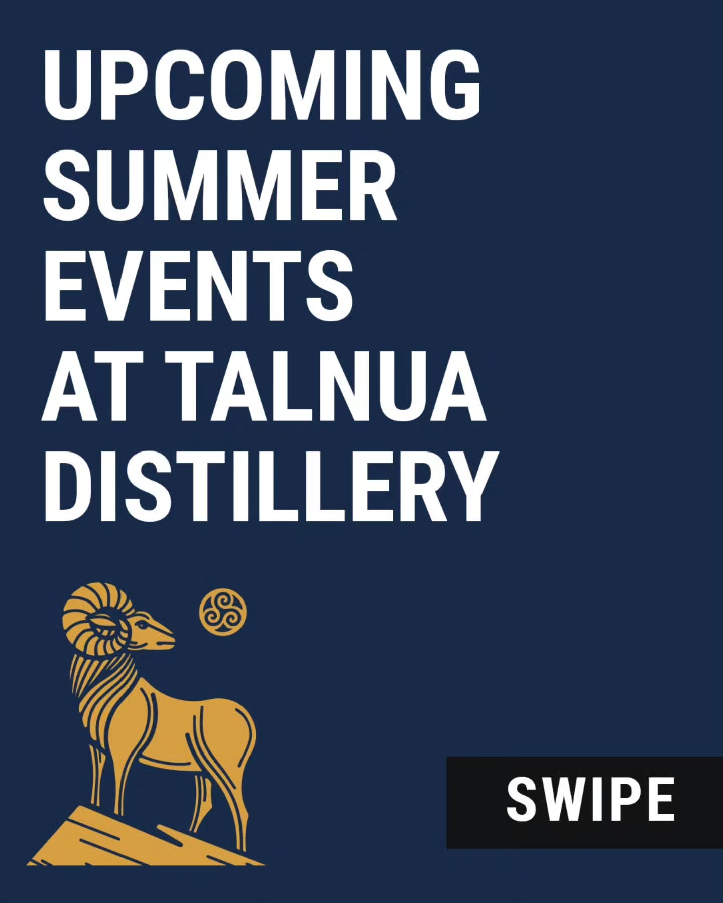 Summer events are heating up at Talnua! Tell us in the comments which event you are most excited about and tag a friend you'd like to join!