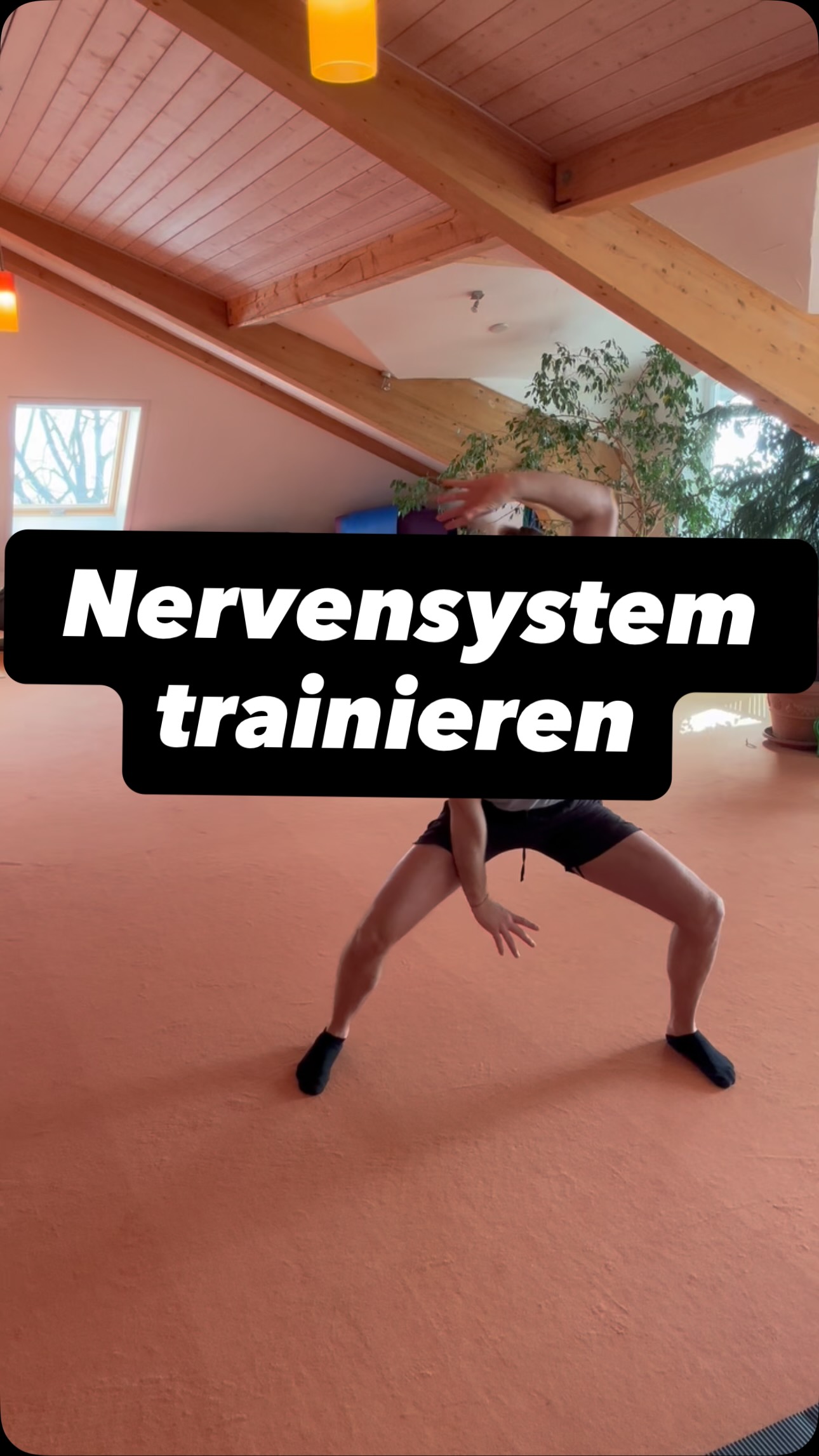 No fight no stress no stretch way more
Lerne jetzt dein Nervensystem zu regulieren!
Kostenlos mehr erfahren