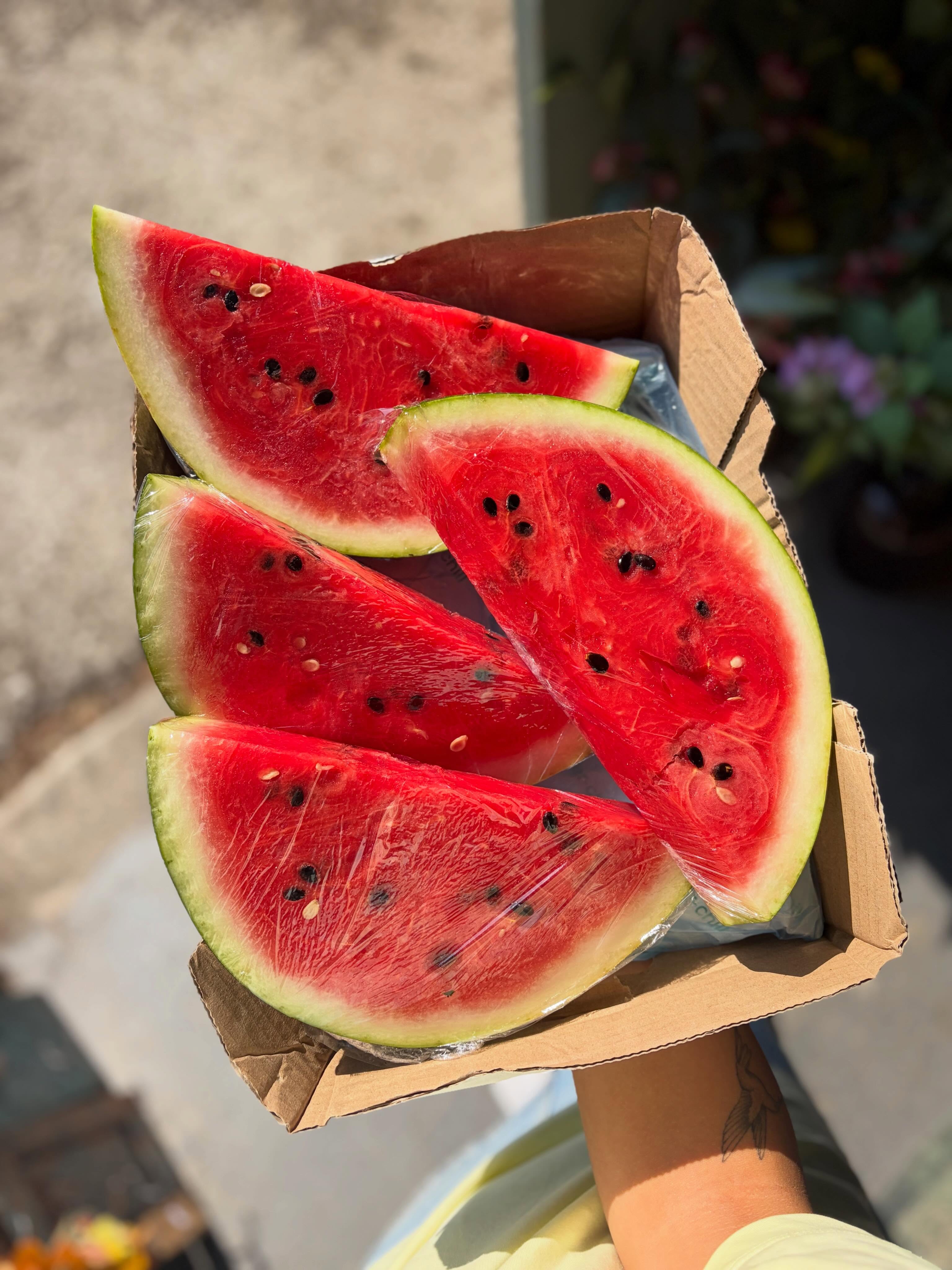 Juiciest watermelon slices on the cart this morning to keep you cool 🧊🍉 #freshwatermelon