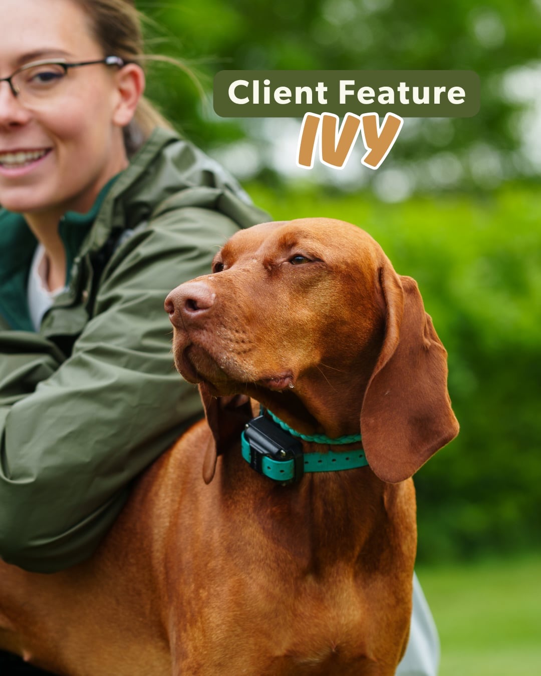 Client Feature - Ivy 🍀
Most of you will know Maddy as she is our wonderful dog walker but did you know we originally met Maddy to help with her Vizsla Ivy for training?
From pinning dogs on walks, to helping teach other dogs to be calm and confident, Ivy’s story really is a full circle moment for us and we couldn’t be prouder of them both!
We’re so sad that they’re moving away but we know that their future is full of continuing to help dogs and owners out
📸 @showcasedogs
If you need help with your dogs training, get in touch with a member of the team and we’ll be happy to help!
Holisitchounds_uk
📩 hello@holistichounds.uk
📞 07591576330