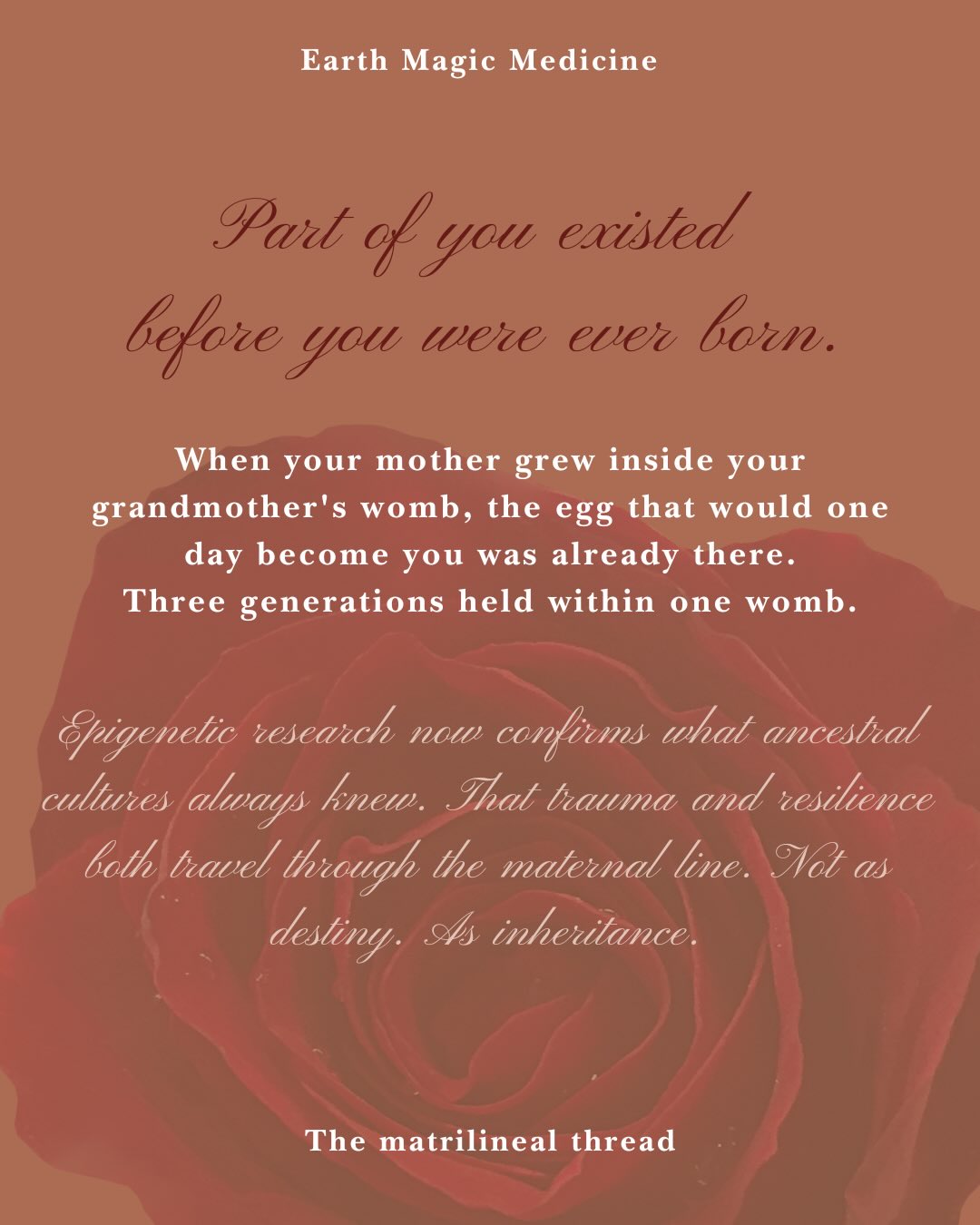 Part of you existed before you were ever born.
When your mother was growing inside your grandmother’s womb, the egg that would one day become you was already there. Three generations held within one womb.
Modern epigenetic research is helping us understand what ancestral cultures have long known intuitively. That trauma and resilience both travel through the maternal line. Not as destiny. As inheritance. Not only through stories and behaviour, but through biology itself.
And this is not a story about being trapped by the past.
It is a story about remembering.
That the grief, strength, wisdom, creativity, courage, and love of the women before us may still echo within us today.
When we tend our own healing, reconnect with our bodies, and listen to the wisdom of the womb, we are not only healing for ourselves. We are honouring the women who came before us. And creating a different inheritance for those who come after.
An unbroken thread. 🩸