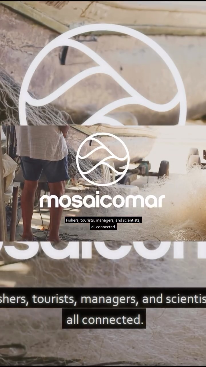🌎 Já está no ar o segundo vídeo do MOSAICOMAR
🌊 O projeto MOSAICOMAR tem como objetivo fortalecer a governança integrada e a gestão participativa das Unidades de Conservação marinhas e costeiras no estado de São Paulo.
🌱 A iniciativa busca promover a articulação entre diferentes áreas protegidas, órgãos gestores e comunidades locais, com foco na conservação da biodiversidade, na valorização do conhecimento tradicional e na inclusão social.
👫 Por meio de oficinas, pesquisas aplicadas e processos colaborativos, o projeto visa construir estratégias conjuntas para enfrentar os desafios socioambientais e promover o uso sustentável dos recursos marinhos.
Vídeo feito por @fotossintese.fotoevideo 💙
Para saber mais, veja o vídeo completo no YouTube 📹
LINK NOS STORIES