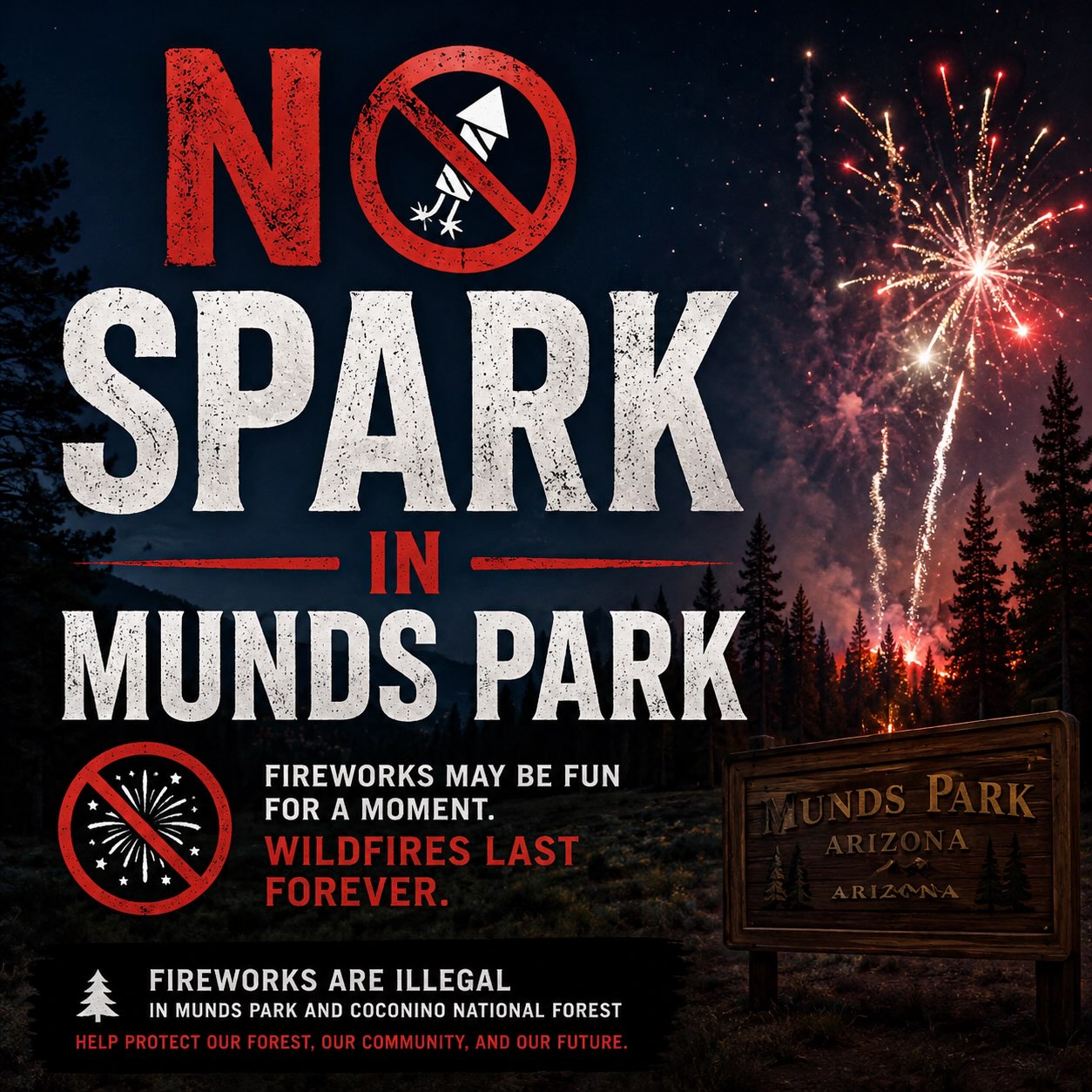 No Fireworks 🧨- No Open 🔥- No Sparks ⚡️
#keepmundssafe #mundspark
Please Share On Your Story!