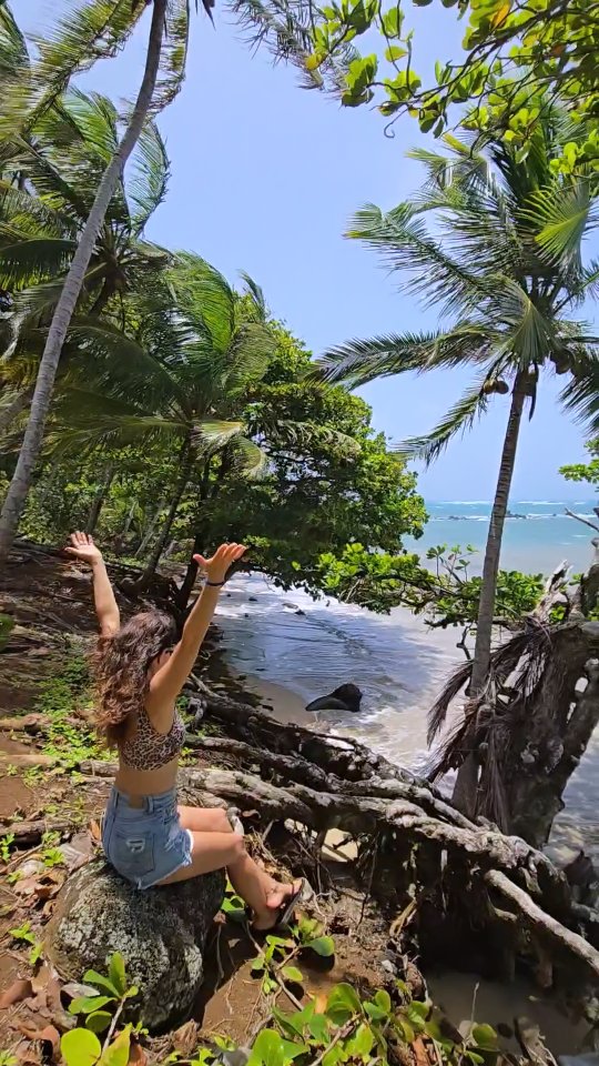 Come slow down, explore, and create unforgettable island memories with your group 🙏🏾
The retreat is just the beginning… 🌴
Beyond your cabaña and the yoga deck, a whole island is waiting to be explored. 🥥
Discover hidden beaches, jungle paths, and the wild beauty of Little Corn Island. 💙🇳🇮
Walk barefoot, feel the earth beneath your feet, listen to the waves, and reconnect with the freedom of being surrounded by nature. ✨
Because the magic isn’t only where you stay… it’s how deeply you experience the place. 🌊
Ready to bring your group retreat to the island?
Learn more: www.thelighthouselci.com�
Book: book@thelighthouselci.com
See you on the island. 🌴✨
#littlecornisland
#nicaragua #retreat #island #retreatvenue