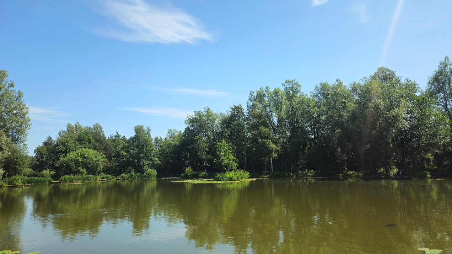 Tuesday Night Match Night 🙌
No evening tickets available on a tuesday, all day tickets to be off the lake by 4.30pm
✨️🎣
#fishingnorthyorkshire #matchnight #coarsefishing #goodcraic