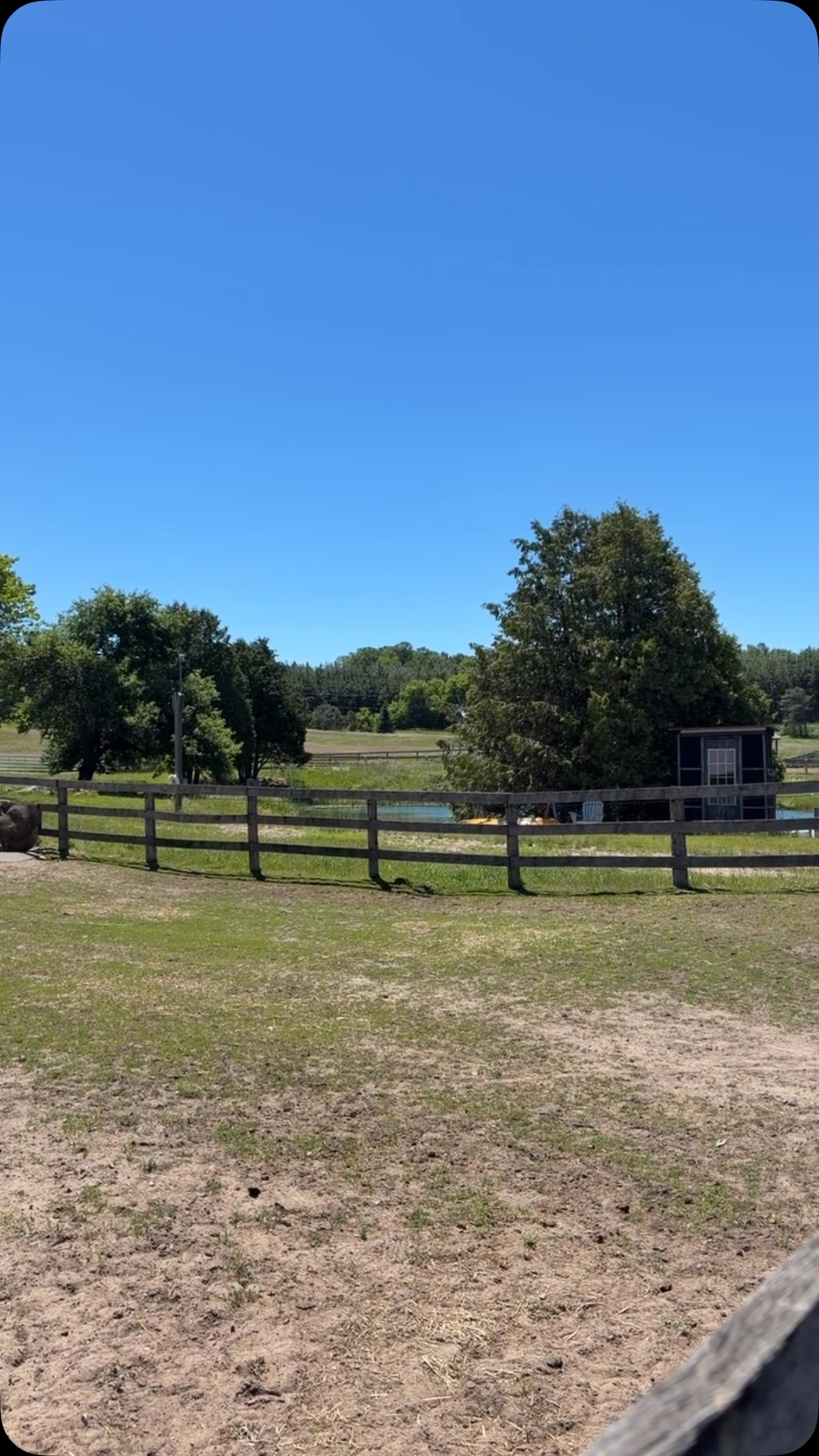 #TrackTipTuesday #TTT When you’re trying to maintain a dry track, removing grass can be challenging when the ground is dry and hard. If you harrow after a light rain youll be more successful in tearing the grass up and disrupting the root system, making it easier to control unwanted growth.
Our online course From Paddock to Paradise covers everything you need to confidently build and maintain a track system for your horses, ponies, or donkeys
From Paddock To Paradise | https://share.google/cEPySQXwzFxSfIIFr
#TrackSystem #drylot #harrow