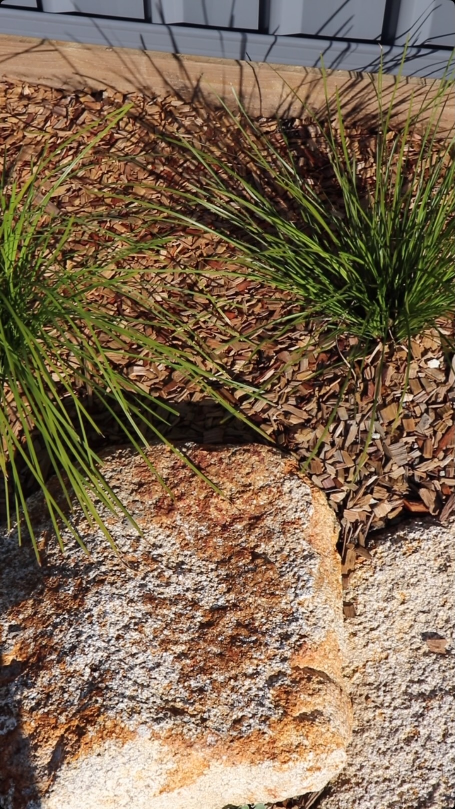 The finishing touch to a new build 🌿
A well-designed front landscape does more than complete a home, it creates a welcoming first impression from day one. These garden beds were designed to add softness, structure and a clean, polished finish to the front of the property, with low-maintenance planting that will establish beautifully over time.
Simple, timeless landscaping that complements the home and completes the picture.
#macleayvalleylandscapes #southwestrocks #facade #newbuild