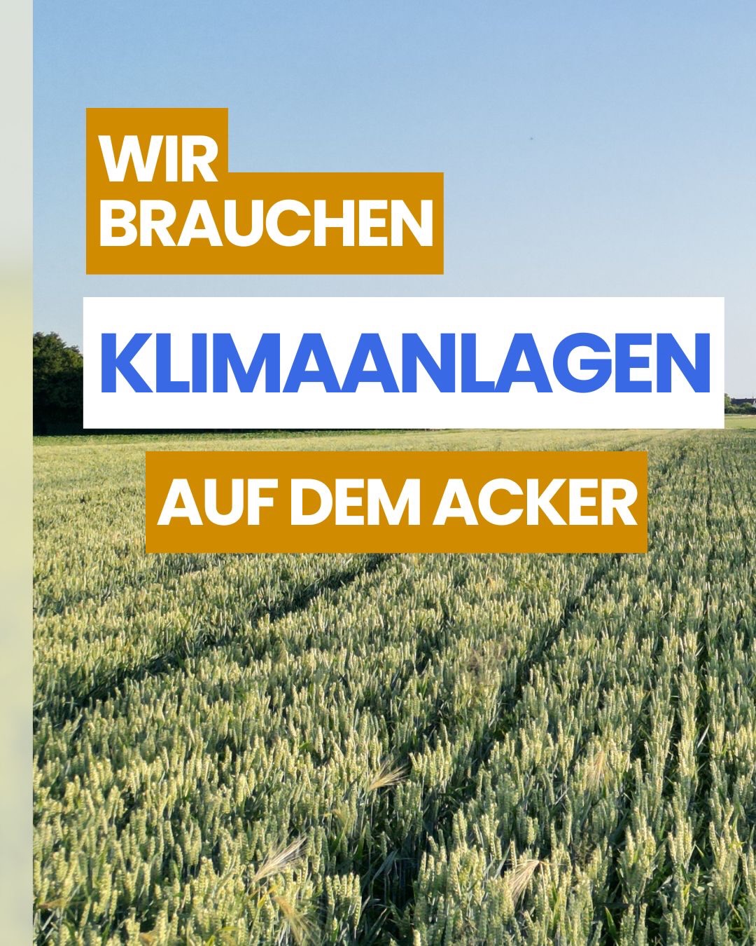 Und auf einmal schlägt sie zu, die Hitzewelle. Wer drinnen im Kühlen sitzen kann, hat es gut getroffen. Wer in der Landwirtschaft arbeitet, dem wird klar, wie heftig es gerade da draußen zu geht.🥵
Landwirtschaftliche Flächen zeigen die Konsequenzen - Hitzeschäden bedrohen die kommende Ernte und Weidetiere bleiben im Stall. Was früher vereinzelt aufgetreten ist, wird nun immer spürbarer Teil unserer Normalität - Trend zunehmend. 📈
Eine der sinnvollsten Maßnahmen für Abkühlung auf Agrarflächen ist Agroforst. 🌳🌳🌳🌳
Agroforstsysteme kühlen die Fläche zwischen den Reihen, halten Wasser im Boden und geben Weidetieren Schatten. Kein Hightech, kein Strom, keine neuen Erfindungen. Richtig angelegt, sind diese Teil des produktiven Systems und schaffen zusätzliche Ressourcen für die Gesellschaft und zusätzliches Einkommen für den Betrieb. Die Lösung ist bekannt.
Was fehlt, sind die passenden Rahmenbedingungen: Förderprogramme, die Agroforst wirklich zugänglich machen, und eine Agrarpolitik, die solche Maßnahmen nicht bürokratisch ausbremst.
Die Hitzewelle draußen ist eine gute Erinnerung daran, dass wir damit nicht ewig warten können. Unterstützt uns dabei, weitere Referenzprojekte quer durch Deutschland auf den Weg zu bringen, um Landwirtschaft, Politik und Gesellschaft zu zeigen, wie wirksam Agroforstsysteme sein können.
Umsetzungsorientiert, unkompliziert und praxiserfahren.
Alle Unterstützungslinks im Profil.
Kommt gut durch den heißen Sonntag!