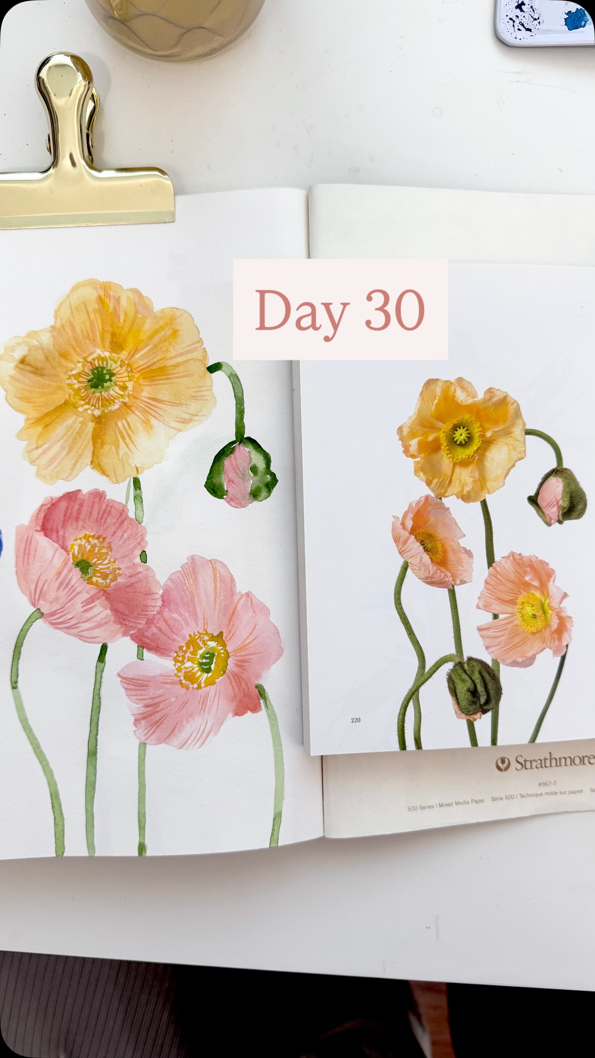 30 days of painting florals from the book Flower Color Guide! For the month of June I painted a flower every single day! I wanted to get back into painting florals and I definitely feel like I got my groove back doing this challenge. Many other lessons were learned through this challenge which I hope to share in a future YouTube video! I hope you all enjoyed it and feel like you’ve learned a few things here and there about my process!
Let me know in the comments. Which flower was your favourite? What challenge or series should I do next?
Sketchbook: Strathmore mixed media 500 series
Brushes: Emma lefebvre @craftamo travel brush set
Watercolour paints: @paulrubensart