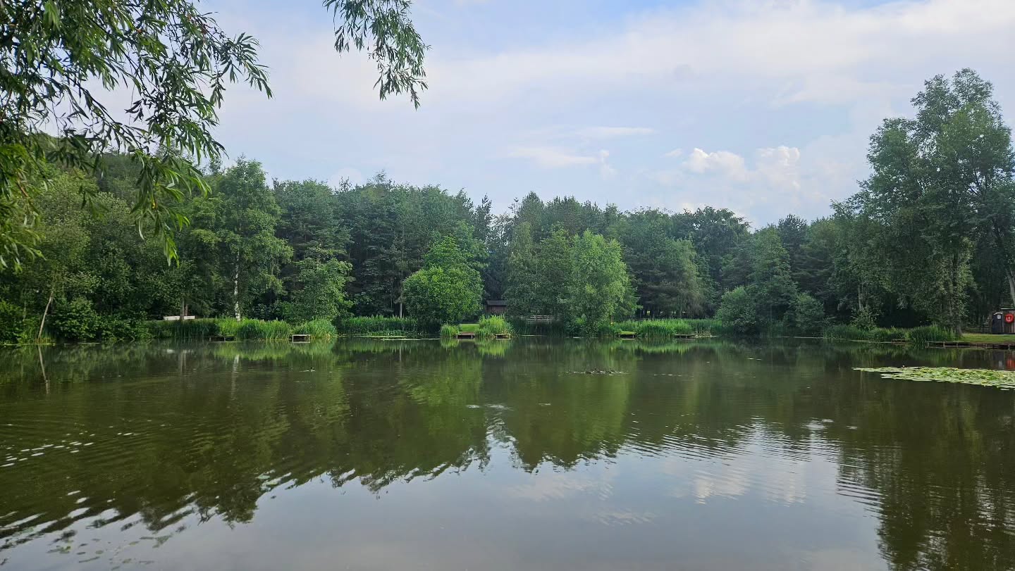 ☀️ ⚠️ Hot Weather & Fish Welfare Update ⚠️
With the hot weather continuing, the wellbeing of our fish is our top priority.
Warm water contains less oxygen, meaning fish can become stressed more quickly. We kindly ask all anglers to take extra care by following these simple steps:
💧 If possible, unhook fish in the water and release them without lifting them onto the bank. If a fish does need to come onto the bank, make sure your unhooking mat or cradle is thoroughly wet before use.
🤲 Handle fish with wet hands and keep them out of the water for the shortest time possible.
🐟 Return fish gently, allowing them time to recover before they swim away.
❌ No weighing or photographing fish. Please return every fish to the water as promptly as possible.We will continue to monitor water temperatures and oxygen levels closely.
🚫 Under no circumstances should anyone enter the lake.
Please also take care of yourselves: Stay hydrated throughout the day. Choose a shaded peg where possible. Wear appropriate sun protection.
These measures are in place to protect our fish. Any angler who does not follow these guidelines may be asked to leave the fishery.
Thank you for your cooperation and for helping us put fish welfare first. 🎣🐟☀️
#fishwelfare #hotweather #weekendiscoming #fishingvenue #fishingcommunity