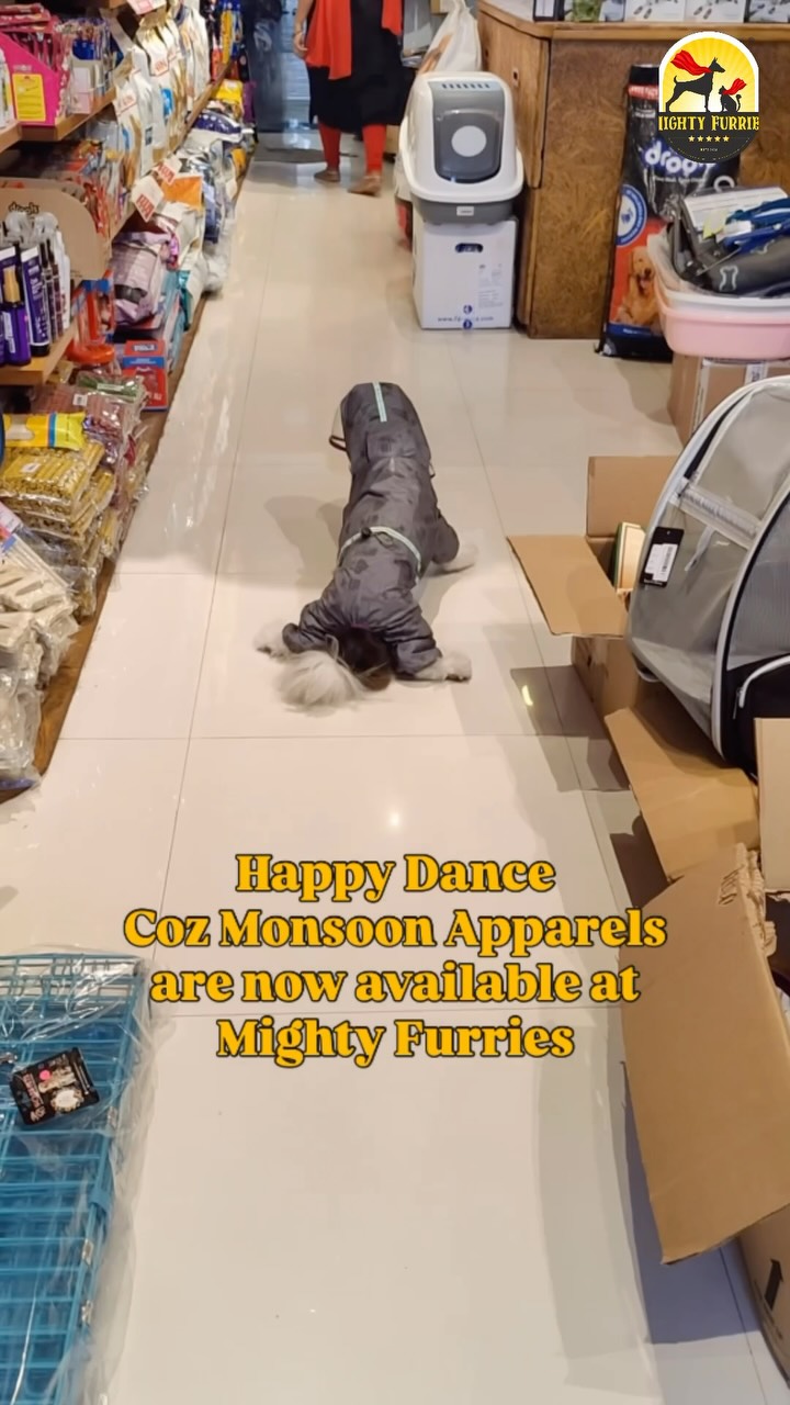 Rainy walks are fun… but they don’t have to leave your furry friend soaked! 🌧️🐶💙
This monsoon, keep your pet dry, comfortable, and adventure-ready with our stylish and functional Pet Raincoats, now available at Mighty Furries! ☔🐾
Designed to protect your pet from rain, mud, and chilly weather, our raincoats are lightweight, comfortable, and easy to wear—so your furry companion can enjoy every walk without the mess.
✨ Why choose a pet raincoat?
☔ Keeps your pet dry during rainy walks
🐾 Reduces muddy fur and wet paws
💙 Helps maintain body warmth on cooler days
🧼 Less post-walk cleanup for pet parents
🐶 Comfortable fit for everyday use
Available in a variety of sizes and colours to suit every little explorer! Whether it’s a quick potty break or a long monsoon stroll, we’ve got your pet covered.
Visit Mighty Furries today and pick the perfect raincoat for your four-legged companion. Because every rainy walk should be safe, comfortable, and full of tail wags! 🐕🌧️🐱
📍 Mighty Furries – Premium Pet Store & Grooming Center
📞 Call/WhatsApp: 089284 84878
#MightyFurries #PetRaincoat #MonsoonReady #RainyWalks #DogAccessories