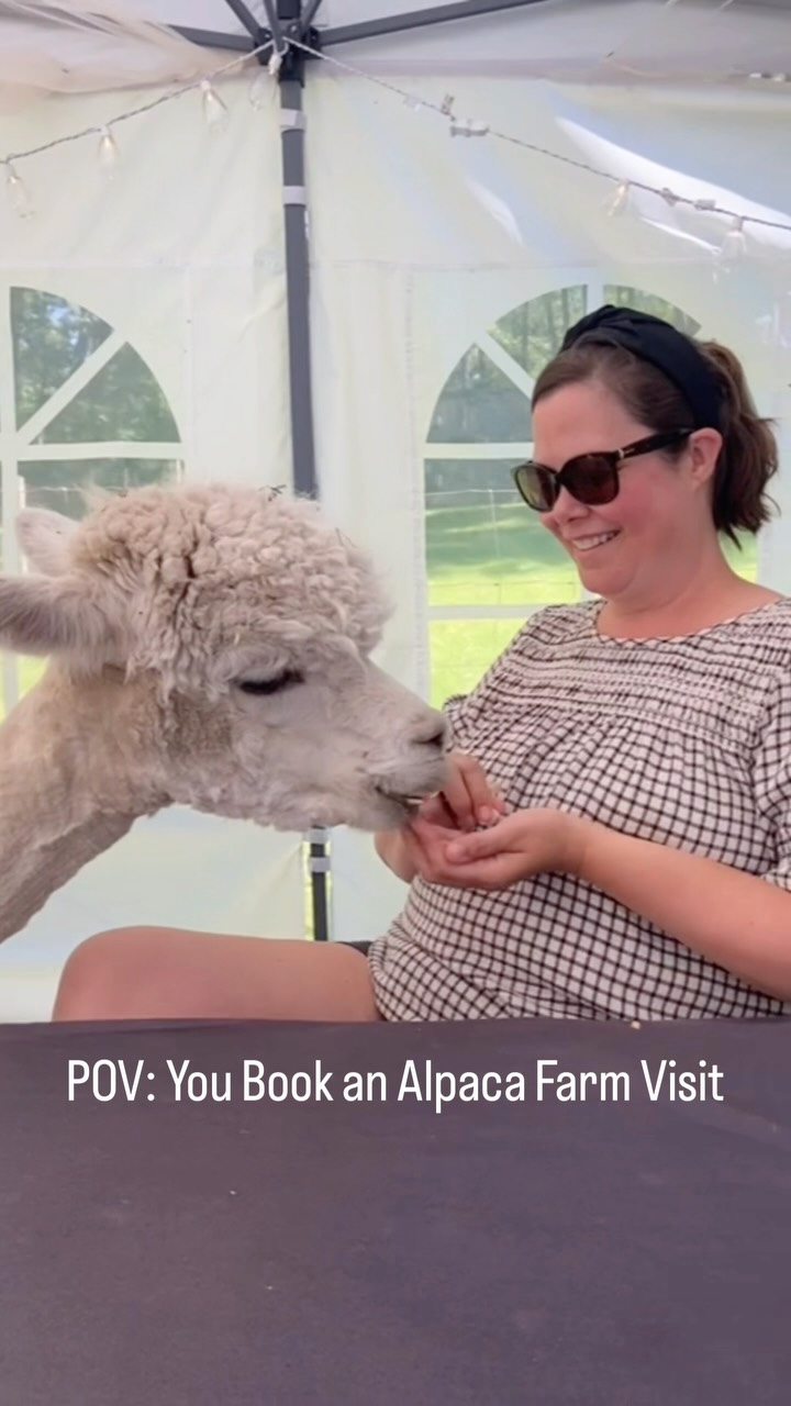 A farm visit at Lulu’s Barn = alpaca hugs. 🤗🦙
#farmvisit #ruralmaine #oneofakindexperience #mainevacation #alpacafarm
