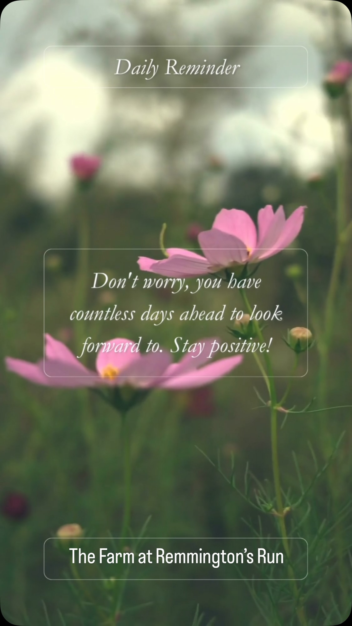 Donāt worryāyou have time. šæ
Not everything has to happen today. Growth takes time, healing takes time, and dreams take time. Trust that you are exactly where you need to be in this moment.
Stay positive, keep moving forward, and remember that every small step brings you closer to where youāre meant to be. The best things are worth the wait.
#KeepGrowing #BloomWhereYouArePlanted #flowerfarm #freshflowers TheFarmAtRemmingtonsRun