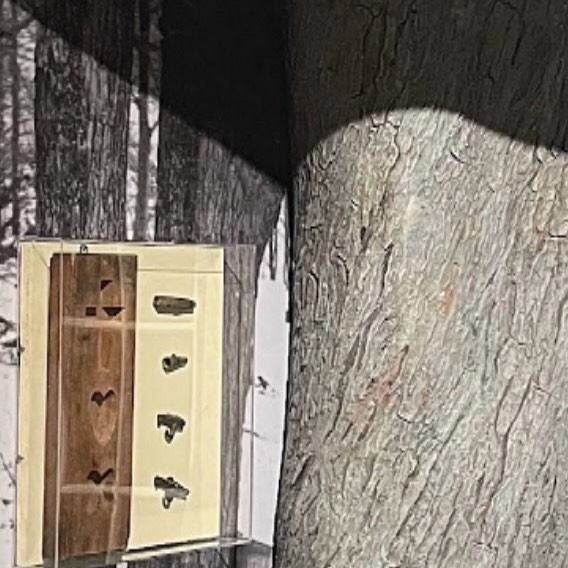 #WhatIsItWednesday ???🤔
Think you know what this very Vermonty install might be?
Hint: Install is in Montpelier, but you can find it everywhere…
Guess: Give us your best guess below!👇
#guessinggame #vermonthistory #sculpture #art