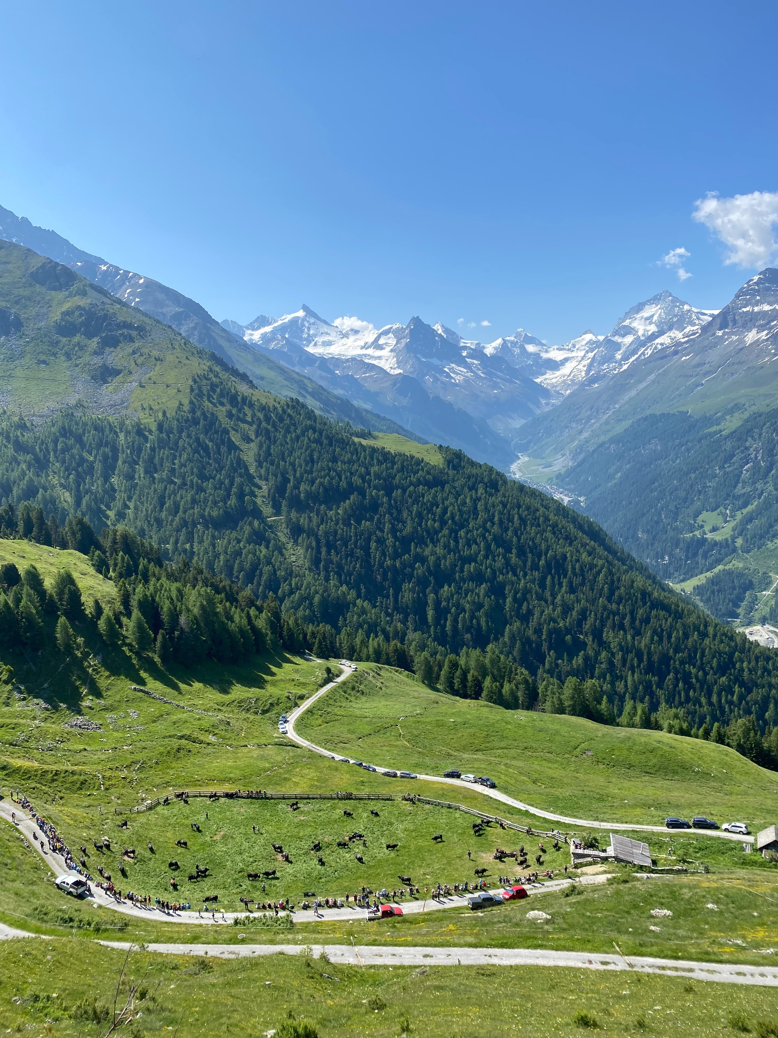 The cows are up, the flowers are out and the sun is shining. Looks like summer is here!
We can’t wait to welcome our guests this week and we’d love to hear from you if you are still searching for that perfect summer alpine break ☀️ ⛰️
#alpinesummer #summerholidays #valdanniviers🇨🇭 #trailrunning #hikeswitzerland
