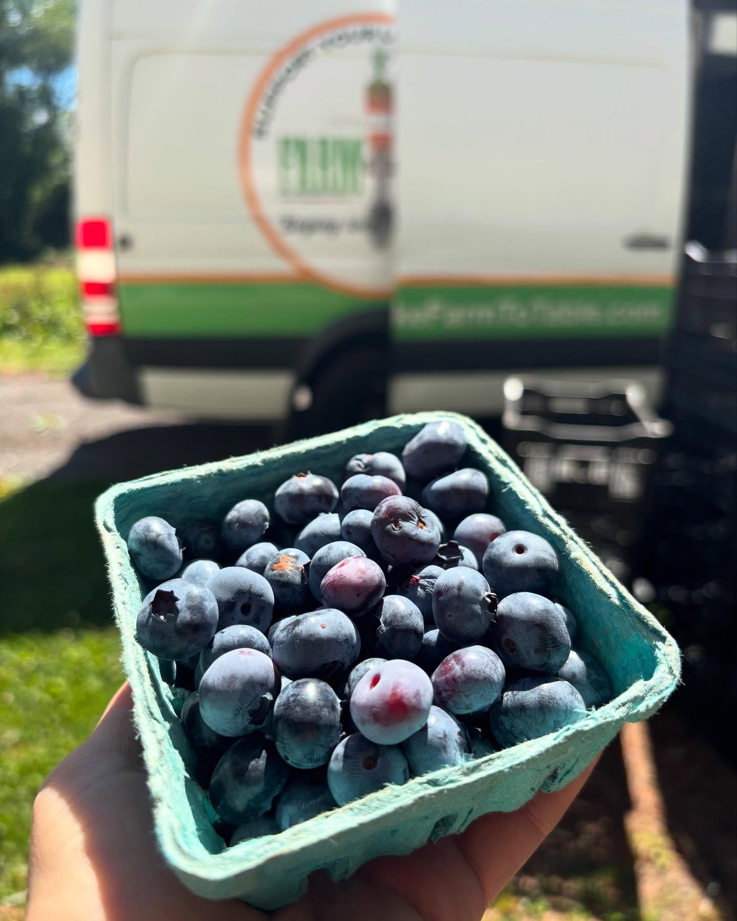 Happy Summer Solstice this week! @calvertsgiftfarm Blueberries have made their return to the site along with @shaw_orchards raspberries!
Order by 11:59pm tonight for Thursday delivery/pickup…
Visit chesapeakefarmtotable.com to see what our farmers have to offer this week!
#buyinglocalmadeeasy #summer #produce #blueberries #raspberries