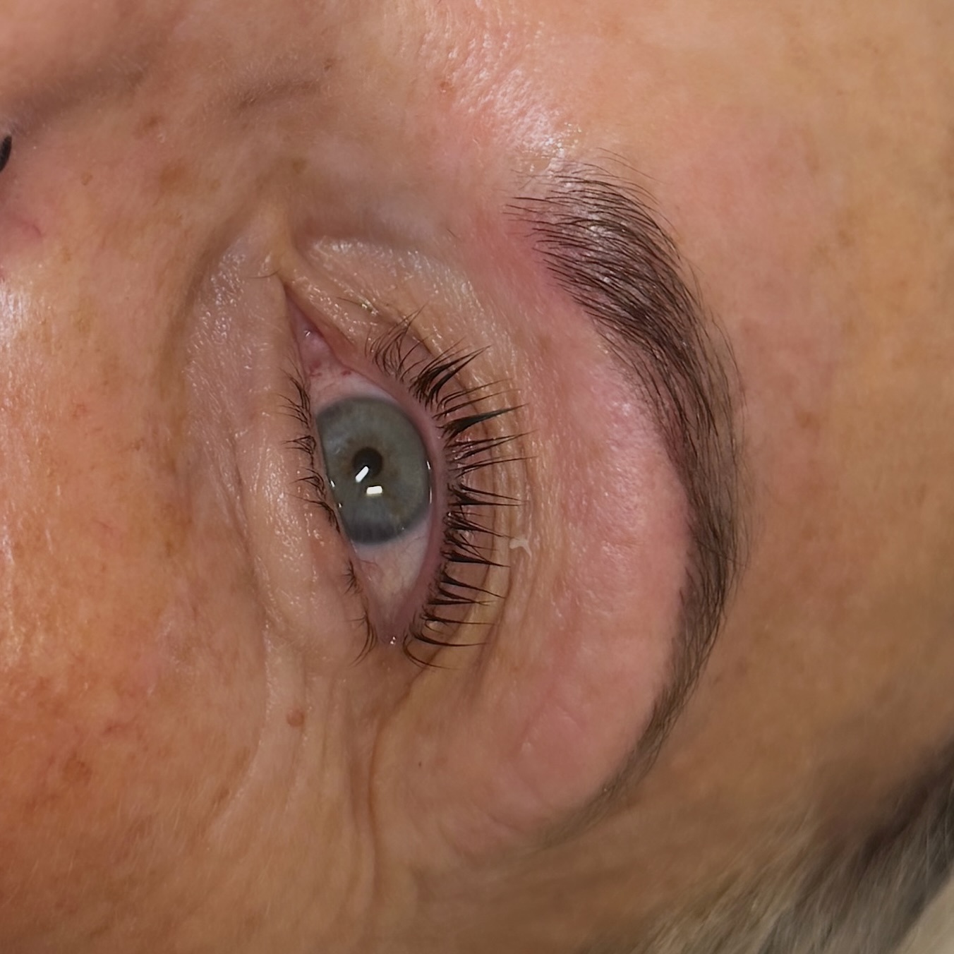 Brow tint and tidy and a lash lift 👀 perfect combo 🤍