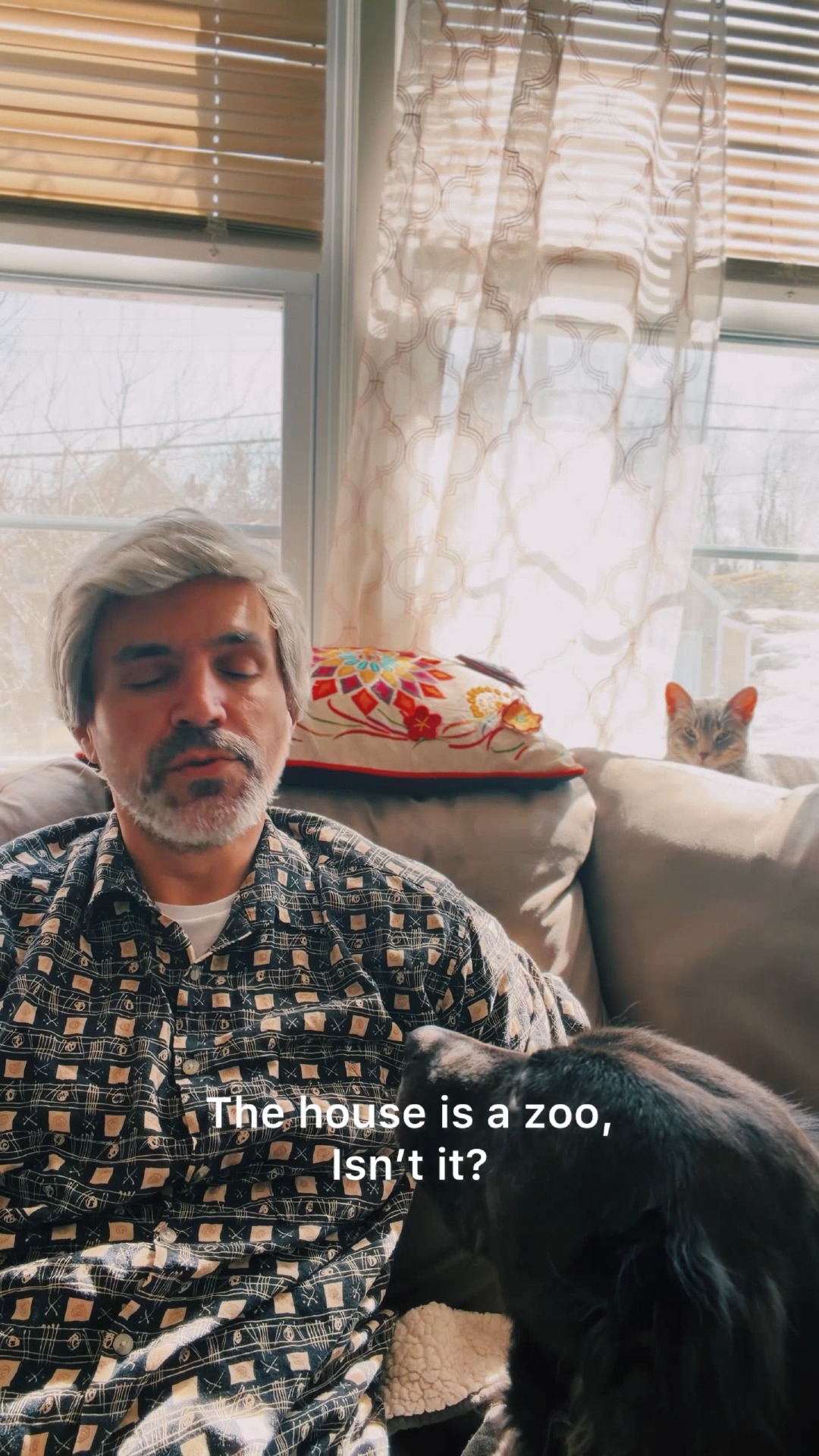 “The house is a zoo” and they wouldn't have it any other way.
The cat may slightly disagree.
