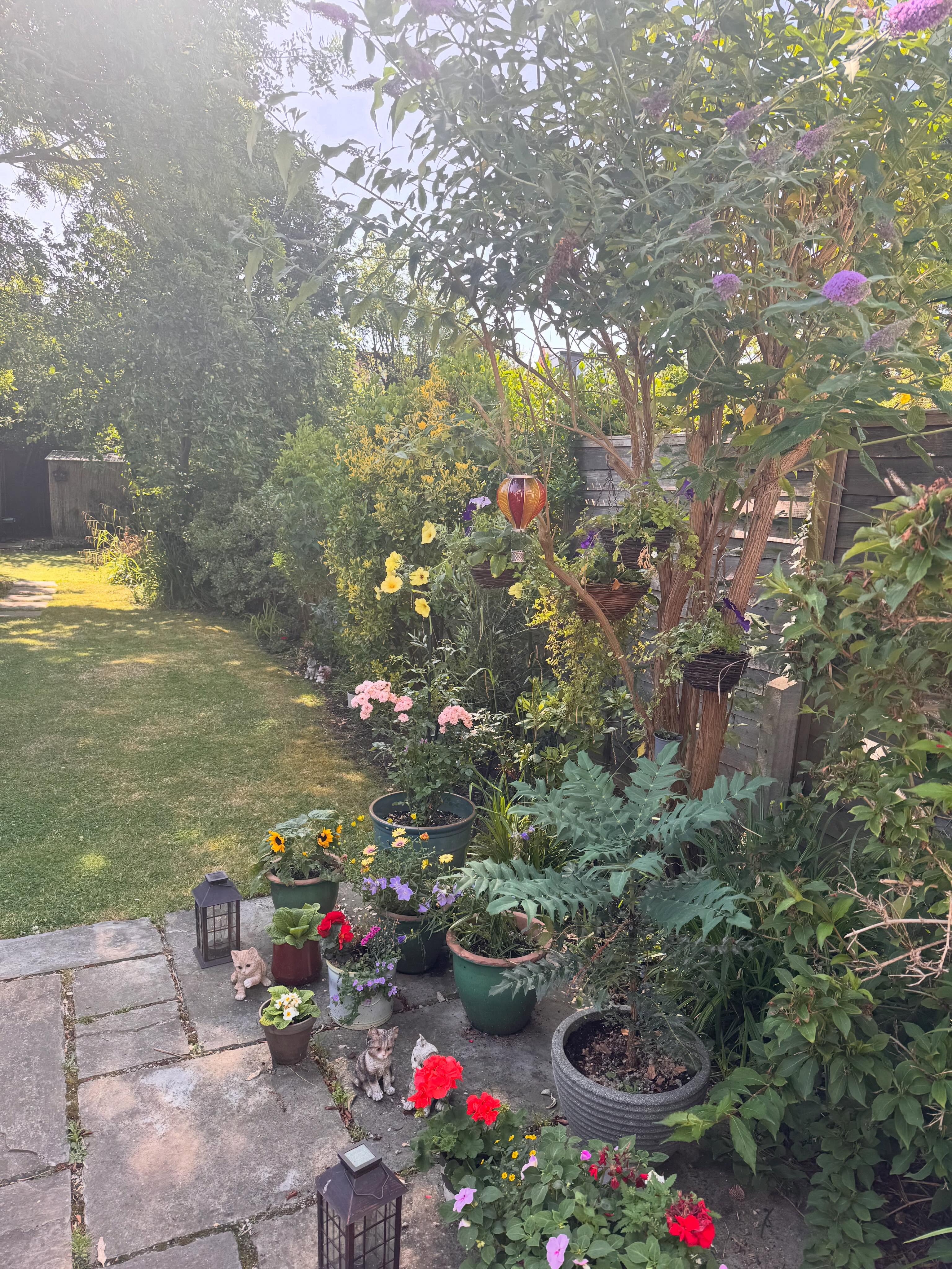 Grateful for breeze today. Not having, then having is a key to joy, plus of course listening to the wonderful @genevieve_gaunt narrating Emma’s journal @bethbrower 🫶