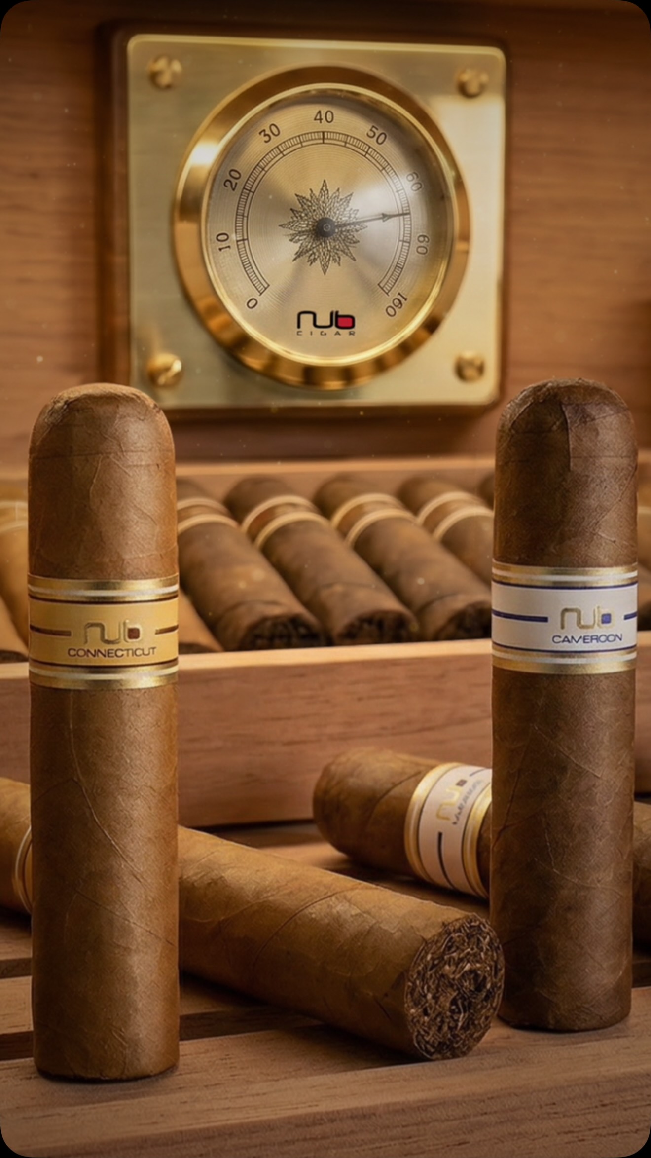 Still Standing.
...
#nubcigar #luxury #nubmaduro
#lifestyle #cigaraficionado