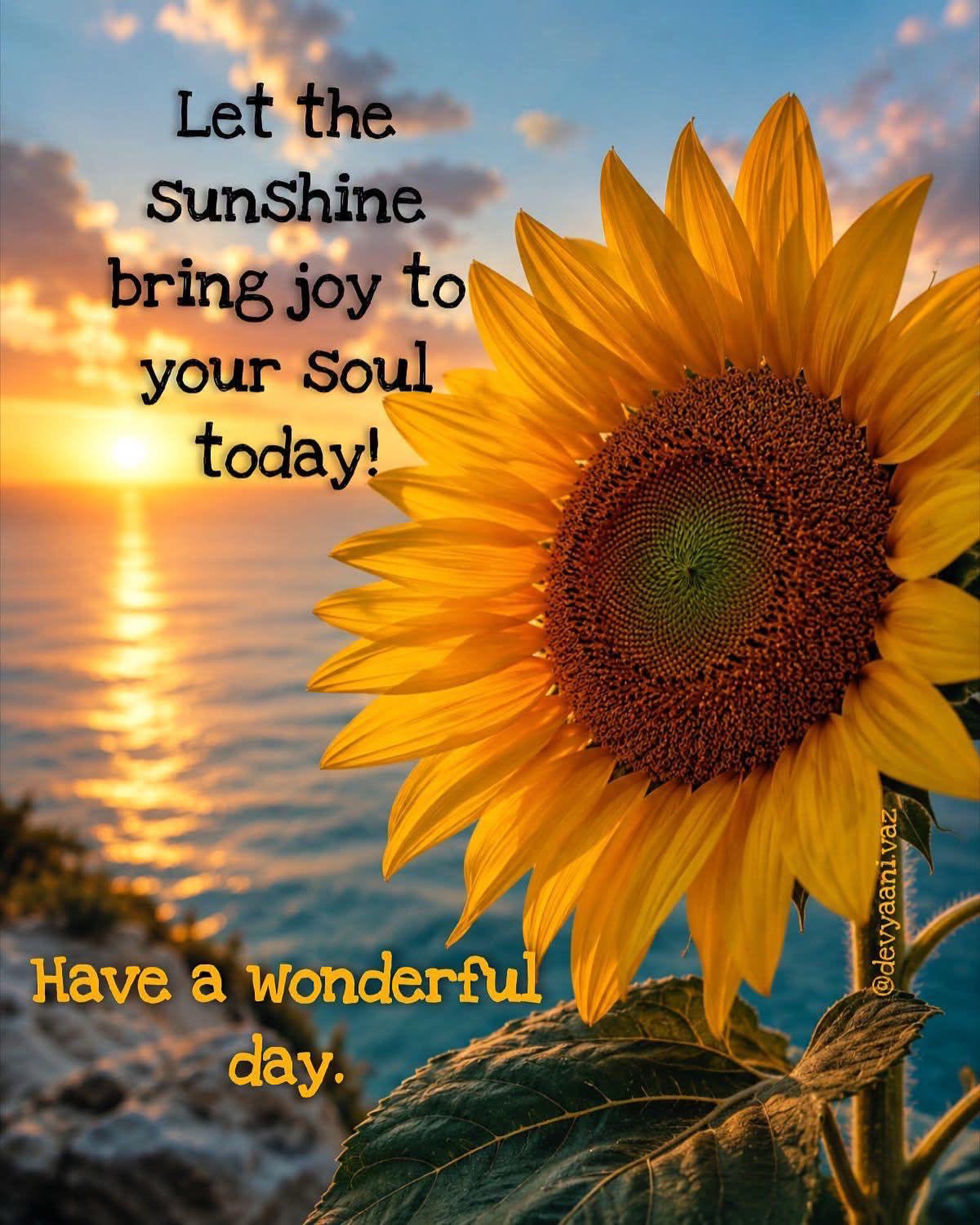 Grand rising one& all❤️💛💚🖤