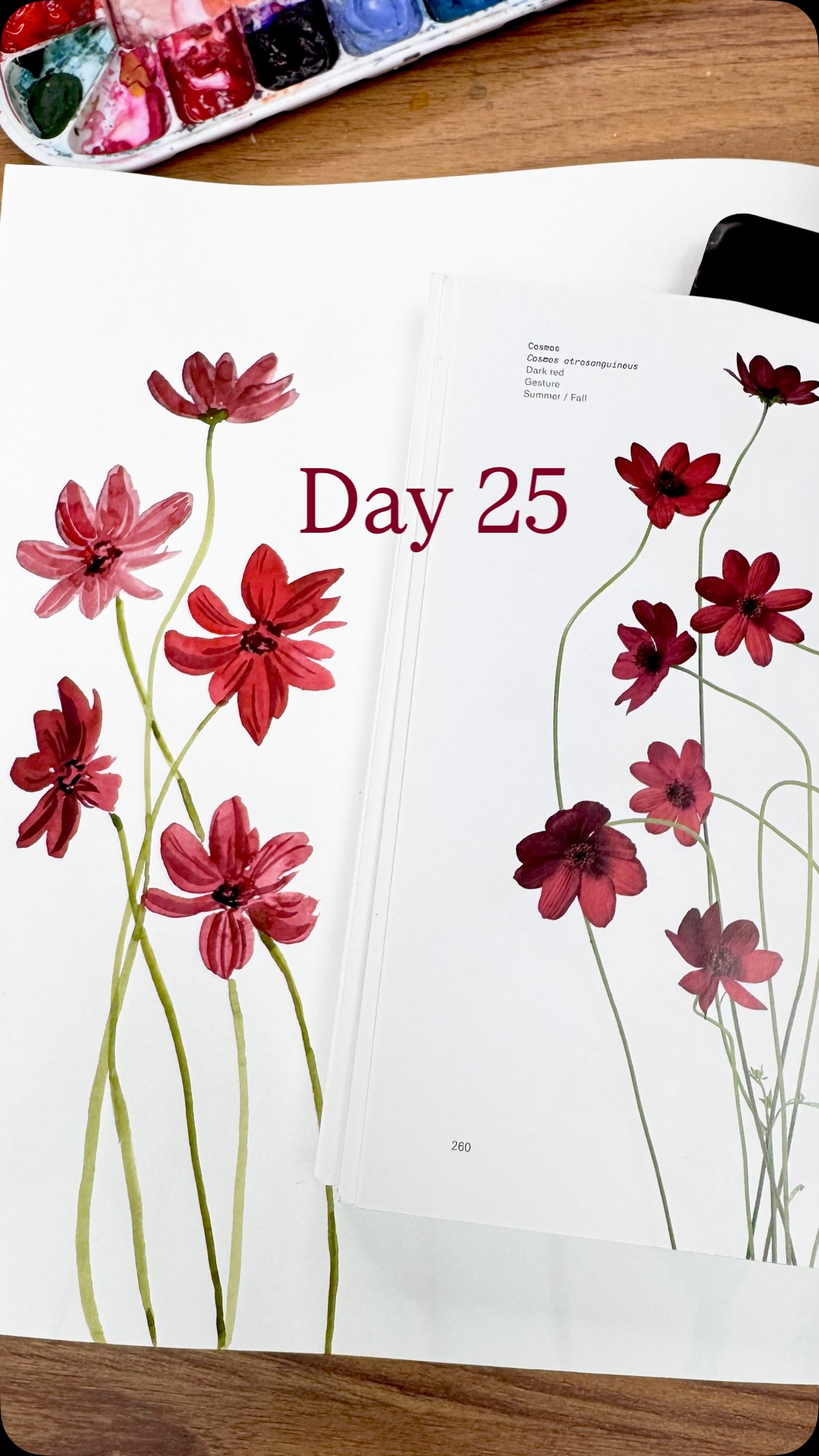 Day 25 of painting flowers at random from the book Flower Colour Guide. Today we painted cosmos from page. 260
Sketchbook: Strathmore mixed media 500 series
Brushes: Emma lefebvre @craftamo travel brush set
Watercolour paints: @shinhanart.official PWC