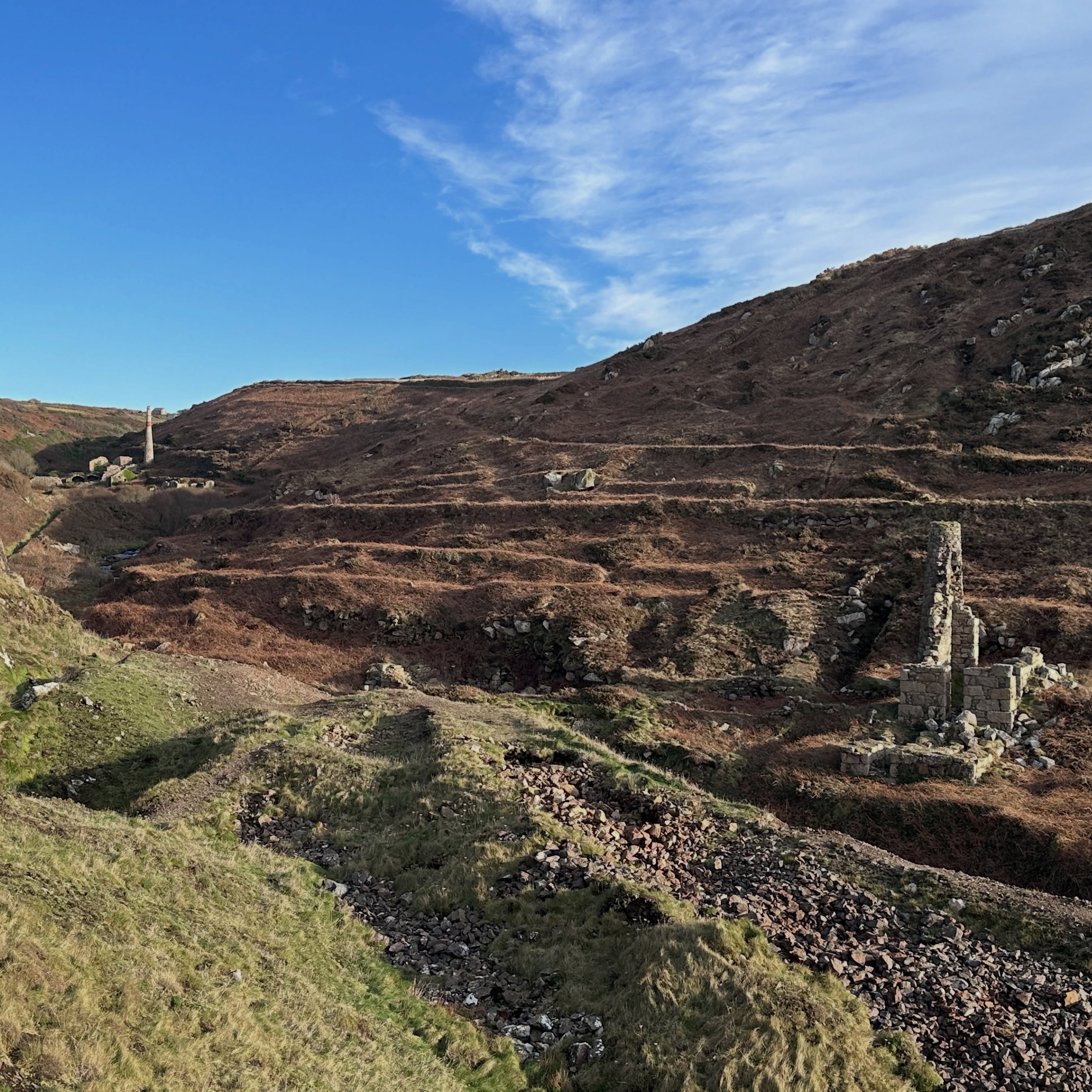 Kenidjack Valley is awesome for its natural and industrial beauty.
Like most valleys in the area, Kenidjack was utilised for its water to power the mines and for processing economic minerals and metals. That legacy can been seen all the way down the valley to Porth Ledden.
The ruinous engine house on the right here was part of Boswedden mine (also known as Wheal Call) and is perched on the south side of the river towards the bottom end of the valley.
It housed a 28” engine that powered stamps, the footings of which can be seen running perpendicular. The pits for the flywheels can also be seen in front of the partially collapsed bobwall.
On the opposite bank lay the less obvious remains of an engine house that had a duel purpose. It was used to pump the shafts in the valley, but was also used to power the surface processing equipment during the summer when river levels were low and there wasn’t enough power coming from the leats and water wheels.
The famous water wheel pit at the foot of the valley housed a 16 m diameter water wheel, one of the largest in the county.
The structure and chimney on the left are the remains of an arsenic calciner and labyrinth.
Arsenic is associated with tin mineralisation in Cornwall, mainly as the sulphide mineral arsenopyrite. To extract arsenic the ore was roasted to 600°C which liberates the arsenic from its mineral form into a vapour.
During the 19th Century arsenic became a valuable byproduct. To capture the arsenic tunnels and chambers were built between the calciner and chimney. Gases drawn through those tunnels caused the vapour to condense as arsenic oxide, a white soot, on the cool walls. This was extracted, barrelled up, and exported.
What is amazing about this place is how nature is adapting and reclaiming the valley. Thanks to the helping hands of @ntwestcornwallrangers the wildlife down here is not only returning, but thriving.
Nature plays the leading role though, overcoming the anthropogenic scars left behind from our mining heritage. There was also a flash flood in the 1890s that washed a lot of it away.
#cornishmining #capecornwall #cornwall #geology #geologyrocks
