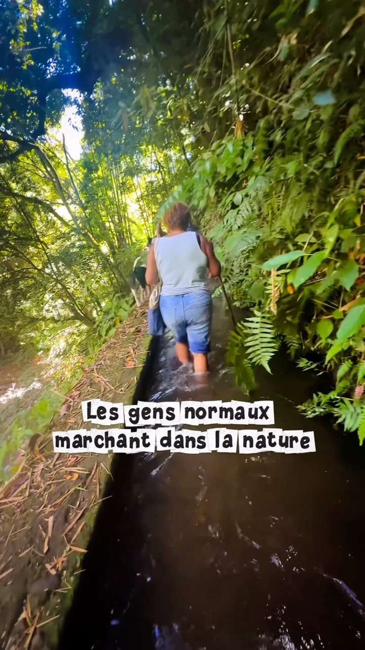 Toi aussi tu trouves la beauté dans les petites choses ?
Moi, je m’extasie souvent d’un « rien » en pleine nature et c’est ce qui rend justement la balade encore plus grandiose 🤩
Oui ! La Martinique est belle. Elle l’est encore plus si on prend le temps de la regarder dans les petits détails…
#explore #martinique #gomartinique #martiniquemagnifique #martiniquetourisme