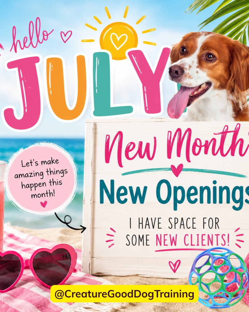 Summer can be a tough time for reactive dog owners and I'm here to help🆘
If you're parenting a reactive dog and have been considering working with a trainer, I specialize in reactive dog behavior.
DM me with questions or schedule a free consultation with me through the link in my bio.