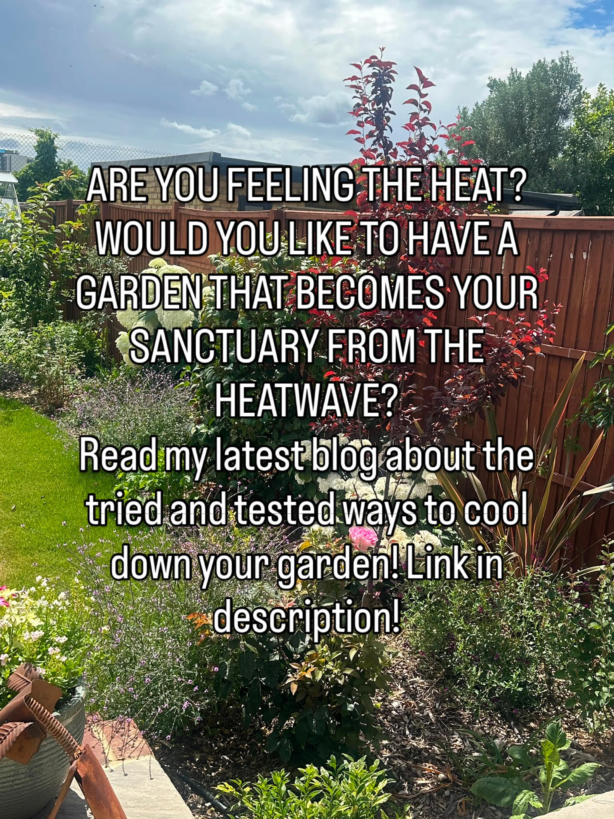 Read my latest blog with advice on cooling your surroundings! https://www.agatahendersongardendesign.co.uk/post/how-to-keep-your-garden-cool-during-a-heatwave-7-garden-design-ideas-that-really-work