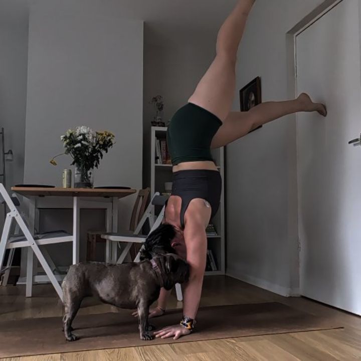 SUMMER so far ☀️
Whoosh alot gannin on. Sat in ceremony a few weeks ago and it felt like a close of a big cycle that had risen this year 🌿.
A season with lots of wonderful people, spaces and as always lots of Betsy 🐕.
1) Working from home with Betsy and @elephantsessions . I am loving my 121 work from home days for many reasons. Along with the magic my clients create this might be another reason 🤪.
2) Summer Solstice Events! ☀️ 3 BEAUTIFUL sessions. What a real treat to see faces come from all over the world for Solstice day retreat itself 🌍
3) Some mega crazy gigs that I can't talk about 🤐, but were pretty groovy. Although, everyone always misses the N out of my surname. I am never sure why 😅
4) Car exposure therapy with Betsy 🐕 🚗. 2 brave gals
5) Facilitating @vervefestival 🔥 - what a JOY!
6) 100,000 listens to the free online Breathwork's on @insighttimer (and another 78,000 on Spotify ☀️!).
7) The best online monthly Breathwork this month ✨✨✨ a real JOYYYY
8) Time in the woods 🪵
9) Back to lifting things again 🏋️♀️ - that's been fun
10) Family 💜
About to head into a BIIIIIG few months, with the greece retreat 🇬🇷 , festival season and some big summer events and FUN.
Let's see what summer has in store hey
Whoa adventuring with me?
5th July - Cacao Breathwork and Sound
15th July - Online Monthly Special ☀️
17th July - Small Group Breathwork n Sound
And 2027 retreat info out SOON 😉
Xxxxxx
Jenny