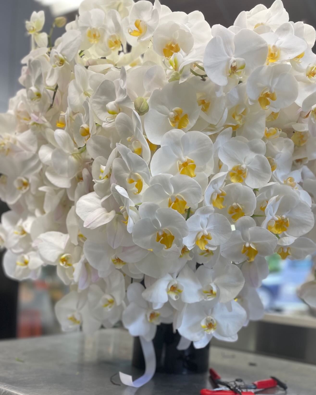 Guess the number! How many orchid plants made this possible? #luxuryflorist #luxuryflowers