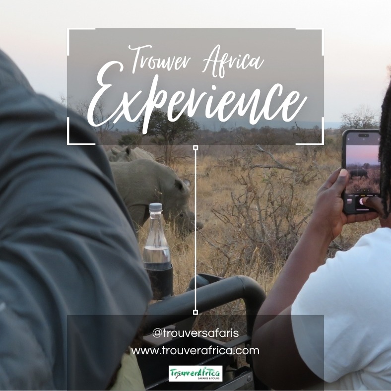 If you’re eager to immerse yourself in the wild beauty of the African bush, don’t hesitate to reach out to us for your customized itinerary! #wefindtherealtreasures #travel_drops
Wenn Sie schon immer davon geträumt haben, in die wilde Schönheit des afrikanischen Buschs einzutauchen, zögern Sie nicht, uns zu kontaktieren, um Ihre individuelle Reiseroute auszuarbeiten! #reise #reisenmachtglücklich
Si vous avez hâte de vous immerger dans la beauté sauvage de la brousse africaine, n'hésitez pas à nous contacter pour établir votre itinéraire sur mesure ! #voyages #vacancesenfamille