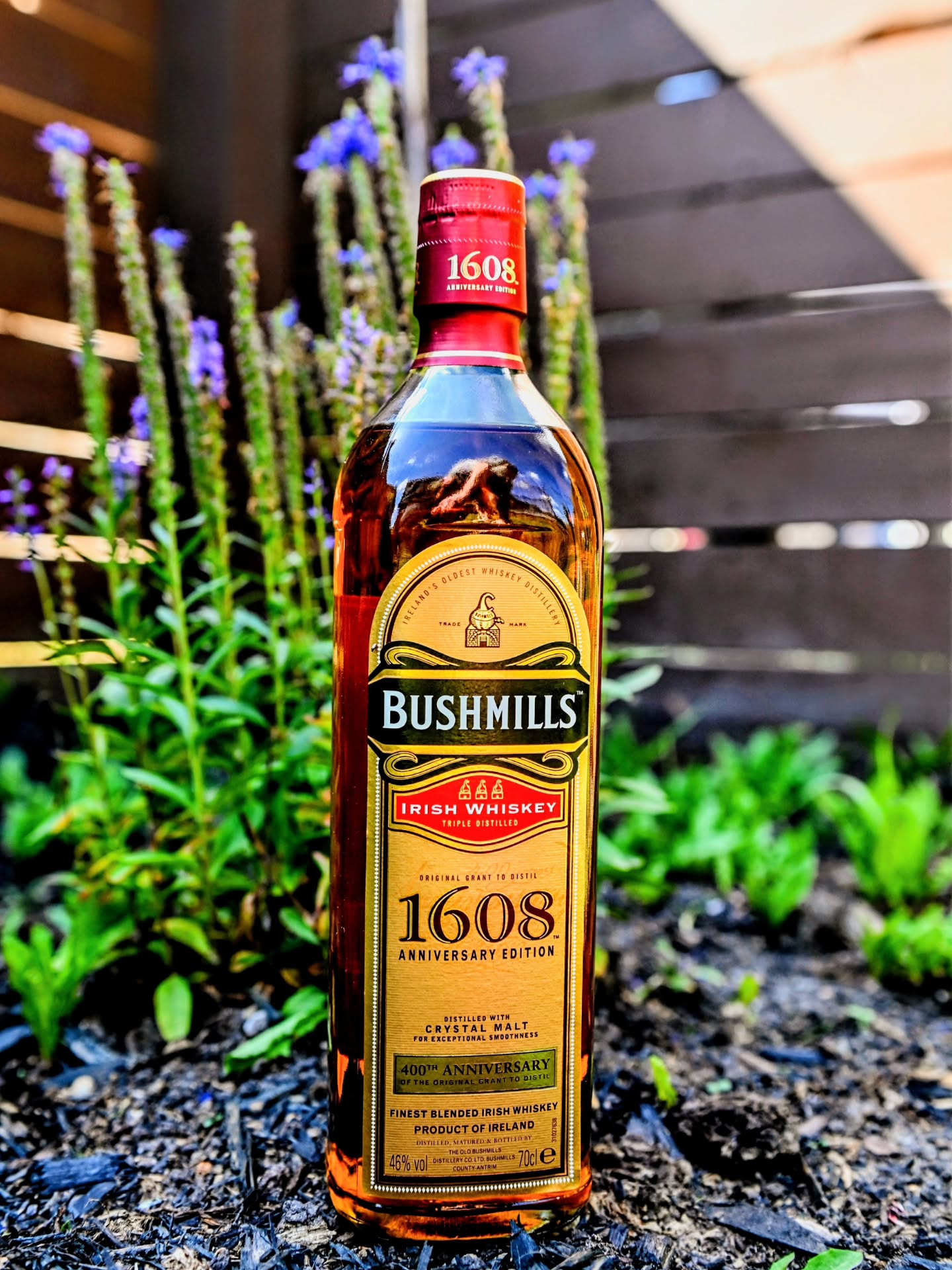 If only you could plant your favorite whiskeys in the garden and they would sprout up.
Recently planted a nice shrub/flower garden and it included this awesome plant behind the bottle.
The bottle is the commemorative bottling to celebrate the 400 years since the original Grant to distill was given.
This was released in 2008 and it is an Irish whiskey made with Crystal malt as well as the regular malted barley from Bushmills as well as 10% of the mashbill being grain and bottled at 46% abv. after maturing in both bourbon and sherry things.
Can you name the flower behind the bottle?
.
.
.
.
.
#bushmills #whiskey #irish #anniversary #celebrate
