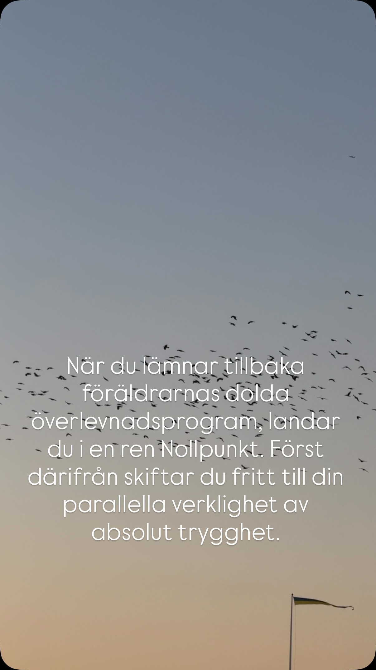 Kvantfysiken lovar att du kan välja vilken tidslinje som helst. Men varför känns kroppen då fortfarande tung och stressad?
För att du försöker manifestera något nytt genom ett ärvt manus. Din andliga kraft vaknar på riktigt först när du kliver ner i biologins dolda källare, sorterar ut roten och möter din sanna frekvens.
Kärlek💚
Veronica
#soulandpathfinding #trygghet#heal #själ