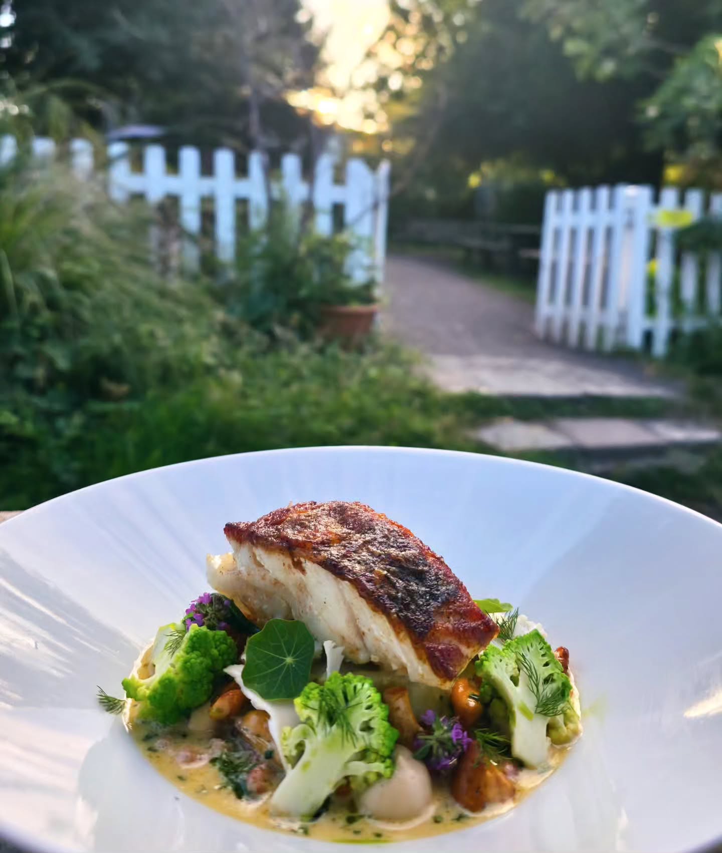 Tonight's market fish...
Roast cod loin, Scottish girolle, mussel & brown shrimp sauce, cauliflower garnish, chefs garden herbs 🌿