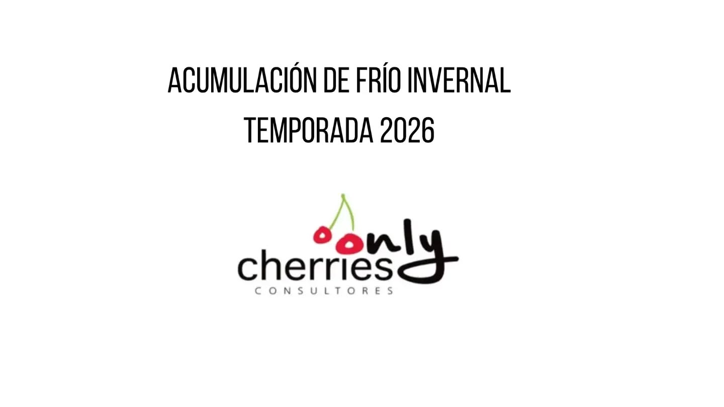 Compartimos con ustedes este informe de acumulación de frío invernal actualizado al 30 de junio 2026. El método utilizado es el modelo dinámico y el frío está expresado en porciones de frío. Esta información es crucial para poder hacer estimaciones y mejorar la oportunidad de los manejos. El informe se encuentra disponible también en la sección de boletines de nuestro sitio web www.onlycherries.cl
