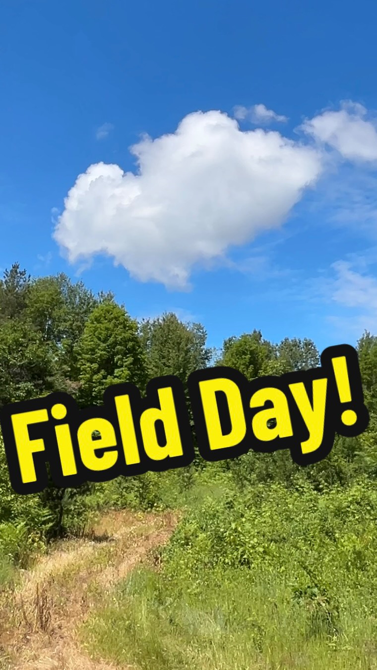 Field Day! #thetoolpulse #diy #fieldday