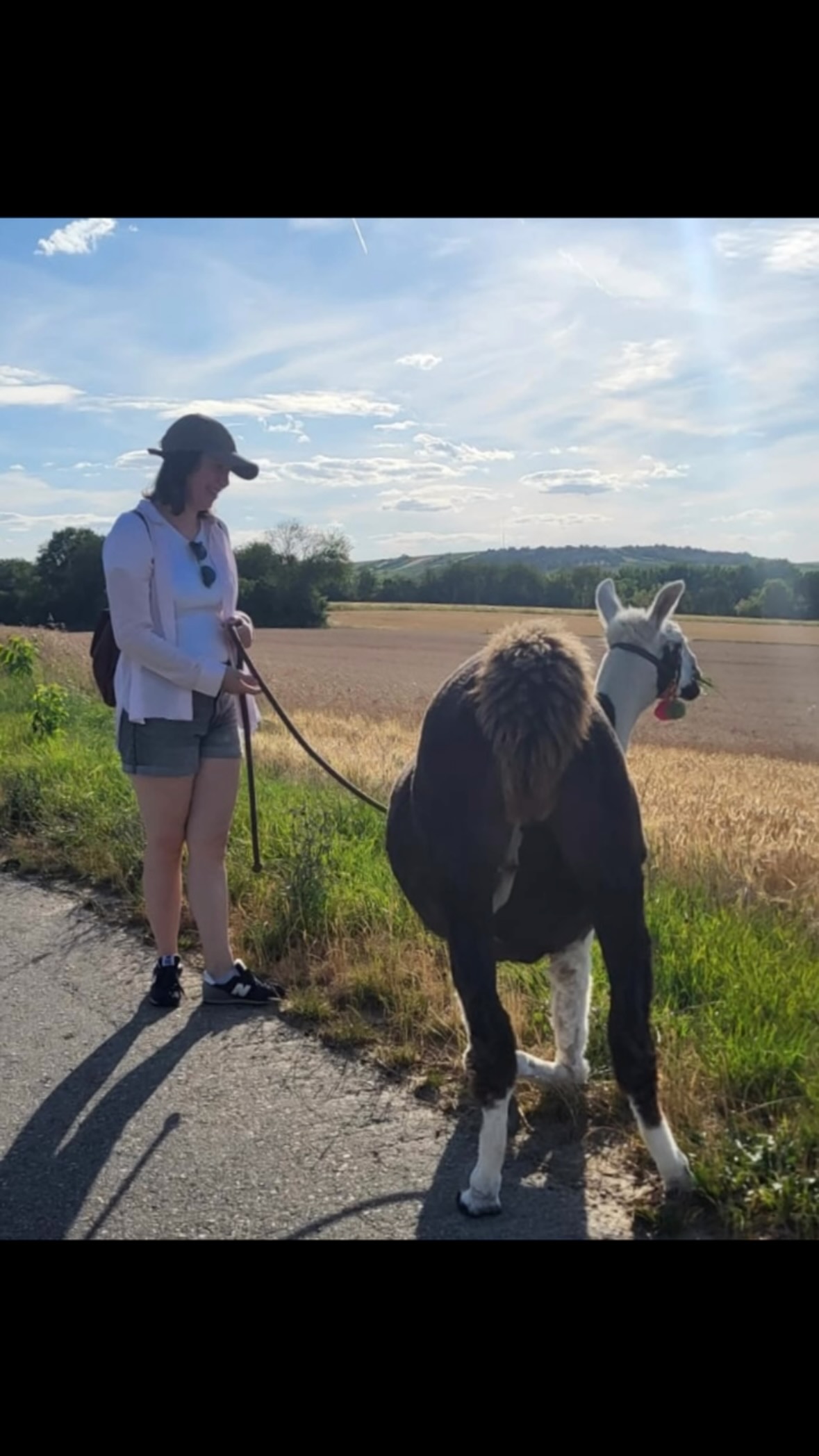 ☀️
Hey, Freunde 🤗
Endlich wieder entspannt eine Tour mit euch 🥰
Kein Hitzefrei mehr 🫶
Wir haben uns riesig gefreut – auf euch, auf unsere gemeinsame Wanderung und auf die obligatorische Fresspause.
Im Liegen schmeckt’s bekanntlich am besten 😁
🌺🦙🦙🦙🦙🦙🦙🦙🦙🌺
Schön, dass ihr dabei wart!
Liebe Grüße aus dem sonnigen Selztal
🦙 die Jungs
#lamas #alpakas #tieremachenglücklich #wandernmachtglücklich