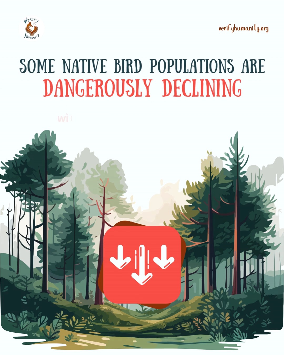 Vulnerable wild bird species are STILL being hunted in Britain 🐦
Some native bird populations are now down to just hundreds remaining — yet they are still waiting for protection from being shot for entertainment.
New government proposals could restrict hunting seasons for vulnerable bird species. But how is this justice for our wildlife?
If the government is truly committed to protecting wildlife, it should ban the recreational shooting of birds already struggling to survive. Instead of protecting blood sports.
Our wild birds deserve better. It is crucial we act now before they disappear from our wild forever.
#wildbirds #britishwildlife #wildlifeprotection #huntingban #protectwildbirds
Source
Gov.UK - Press Release 23/03/26 - Stronger protections to help protect threatened wild birds. Contains public sector information licensed under the Open Government Licence v3.0. https://www.gov.uk/government/news/stronger-protections-to-help-protect-threatened-wild-birds