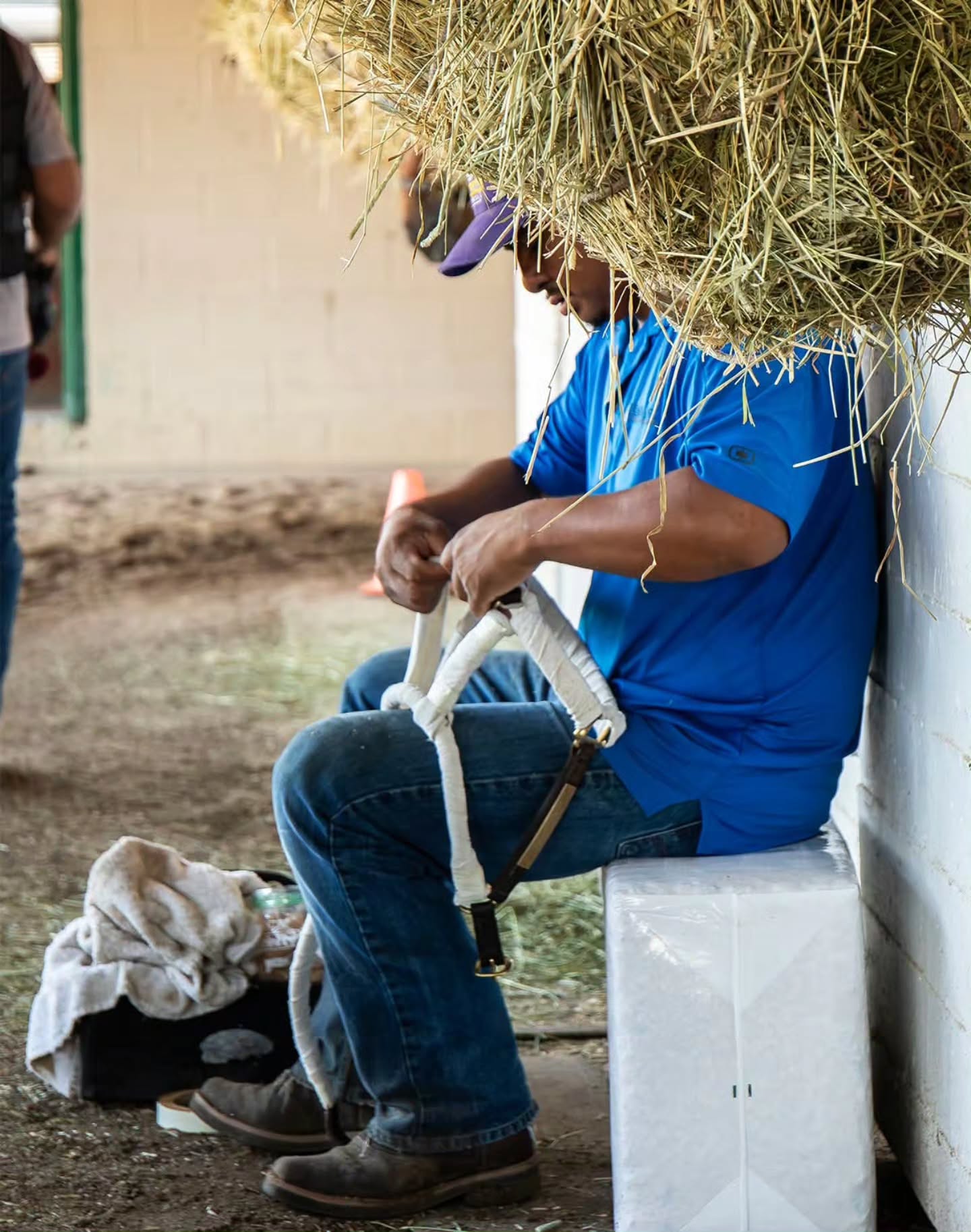 It's shipping day! Our team is wrapping halters and legs getting ready to send a group of horses to New York later today. Safe (and cool) travels to the team. Next phase of summer racing begins soon @ellisparkracing and @saratoga1863