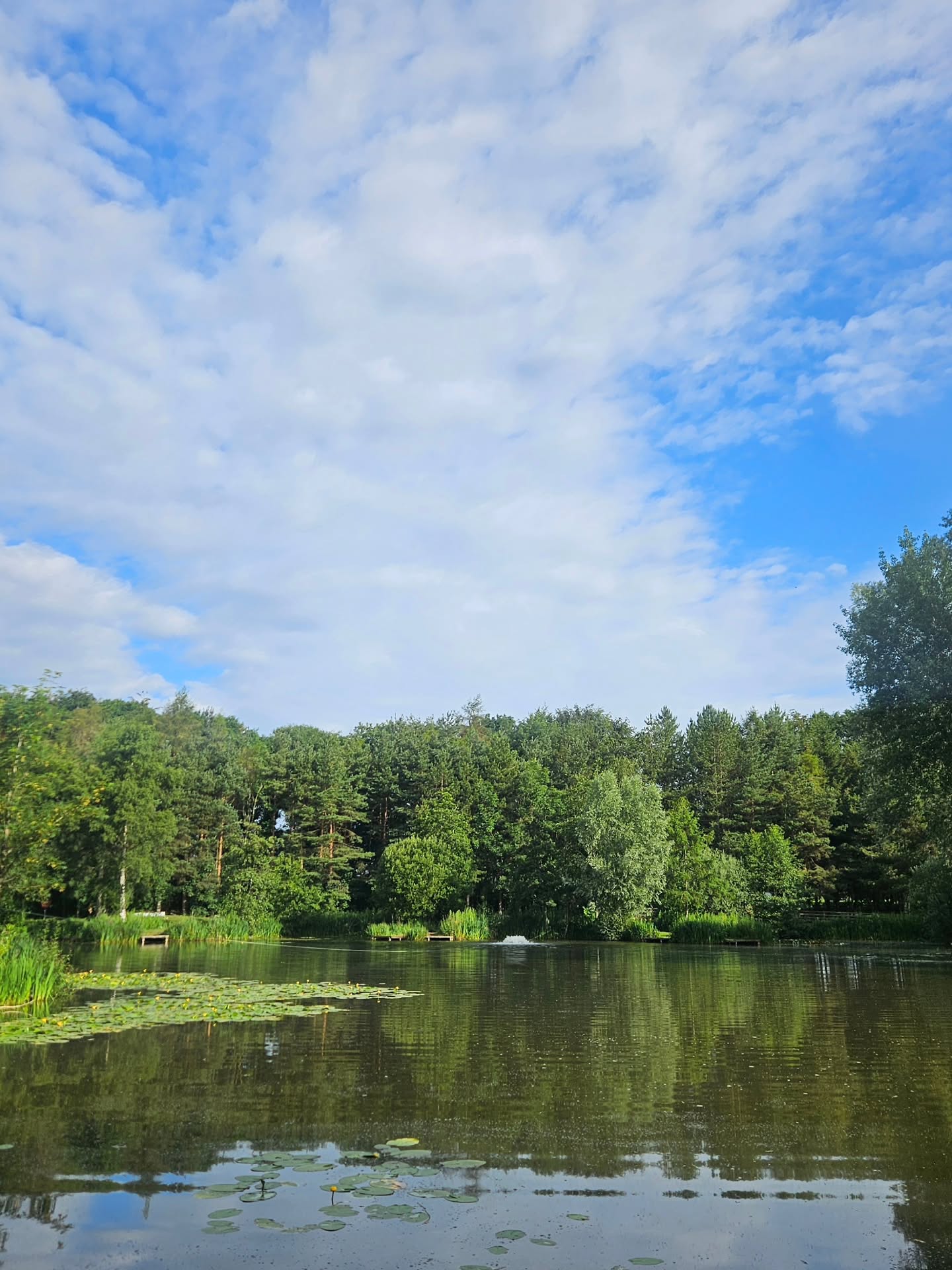 Its Match Night 🎣
Gentle reminder for those taking part, please make sure all nets are dry.
All day ticket anglers must be off the Coarse Lake by 4.30pm. Thank You 🎣
#matchnight #matchfishing #coarselake #goodcraic