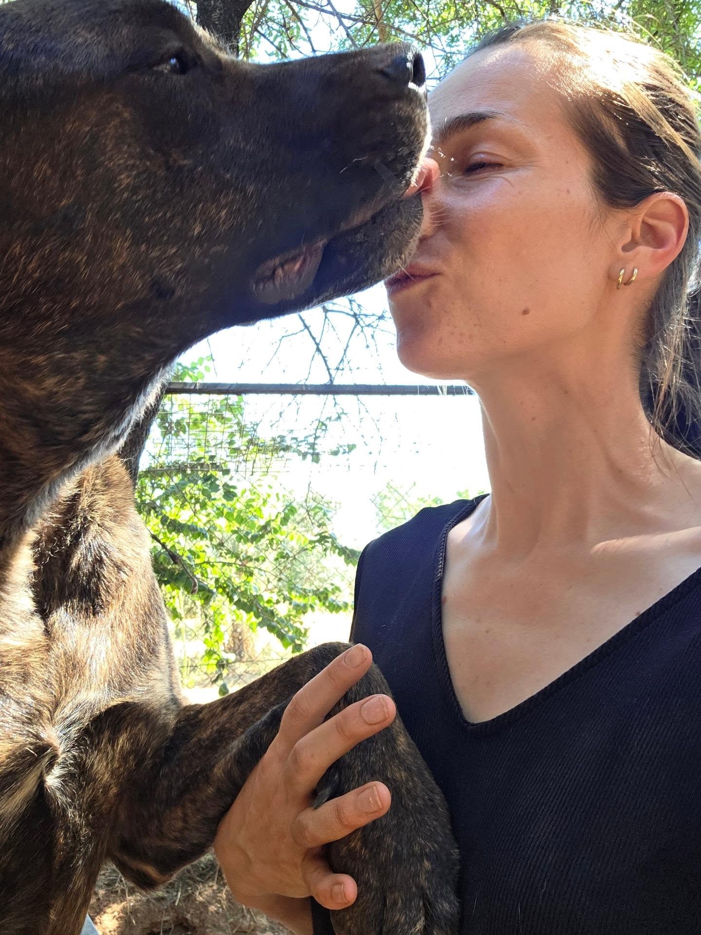 Kisses from our biggest love bug Caro 💕
Find out more about Caro on our website: www.melezdogrescue.com/caro