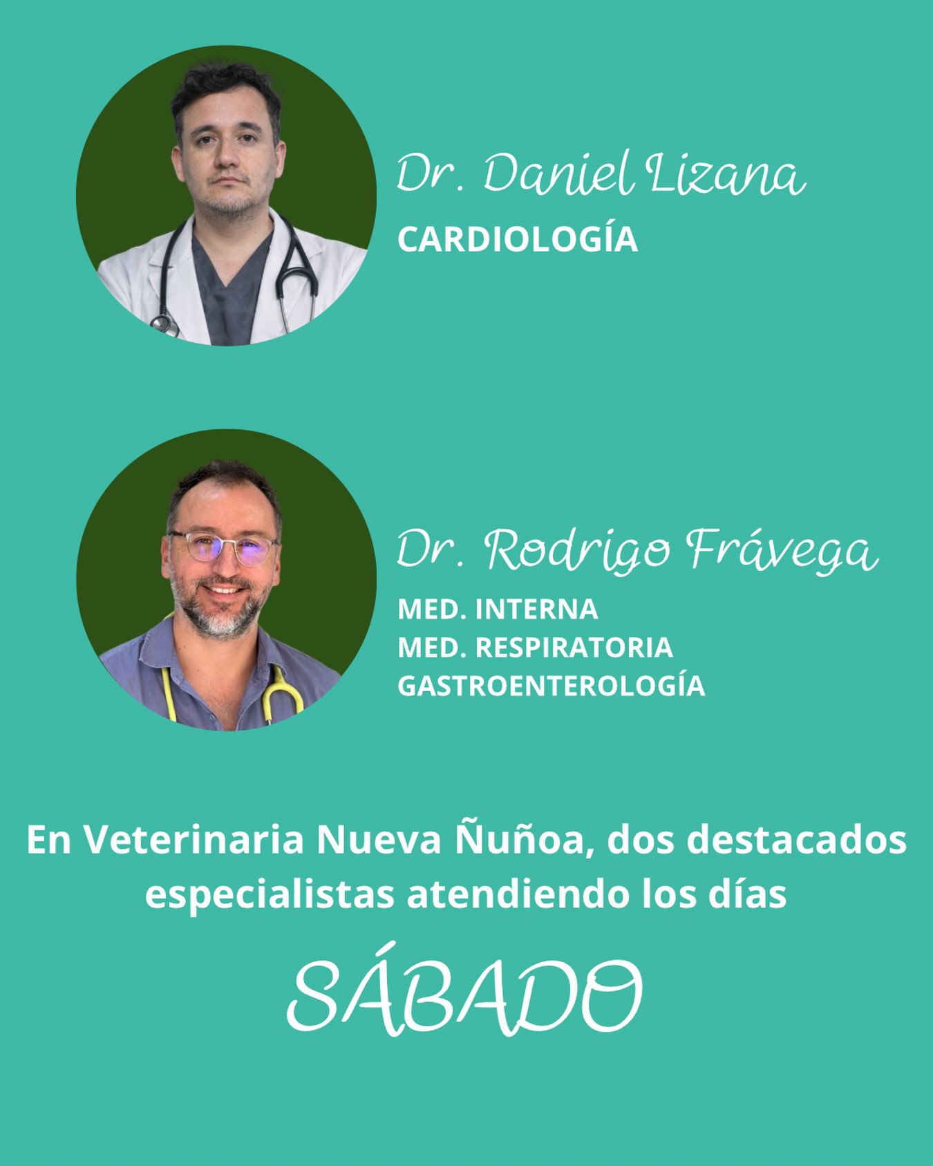 Sábados con especialistas 🩺
🫀 Cardiología — Dr. Daniel Lizana
🫁 Gastroenterología y Medicina Respiratoria — Dr. Rodrigo Frávega
Dos áreas clave para la salud de 🐕🦺 y 🐈
📍 Veterinaria Nueva Ñuñoa
📅 Cupos limitados cada sábado
Agenda ahora por links en nuestra bio, o escríbenos al +569 3278 3984