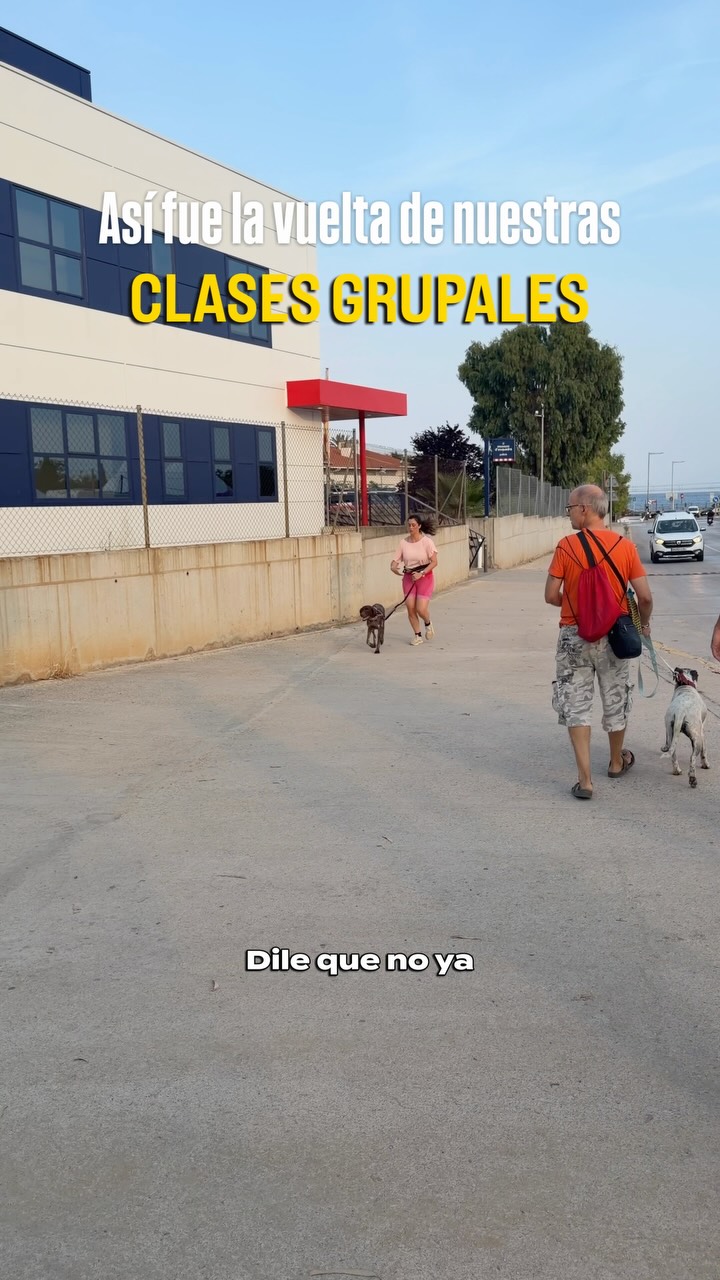 ¡Volvimos! 💥 Una sesión intensa, divertida y llena de aprendizaje real. Repasamos pautas, gestionamos distracciones reales y disfrutamos del proceso con los perretes 🐕 ¡Qué ganas de más y qué orgullo veros evolucionar!
Gracias por la confianza, familia!💛
~
#dogtraining #educacioncanina #socializacioncanina #modificaciondeconducta #clasesgrupales